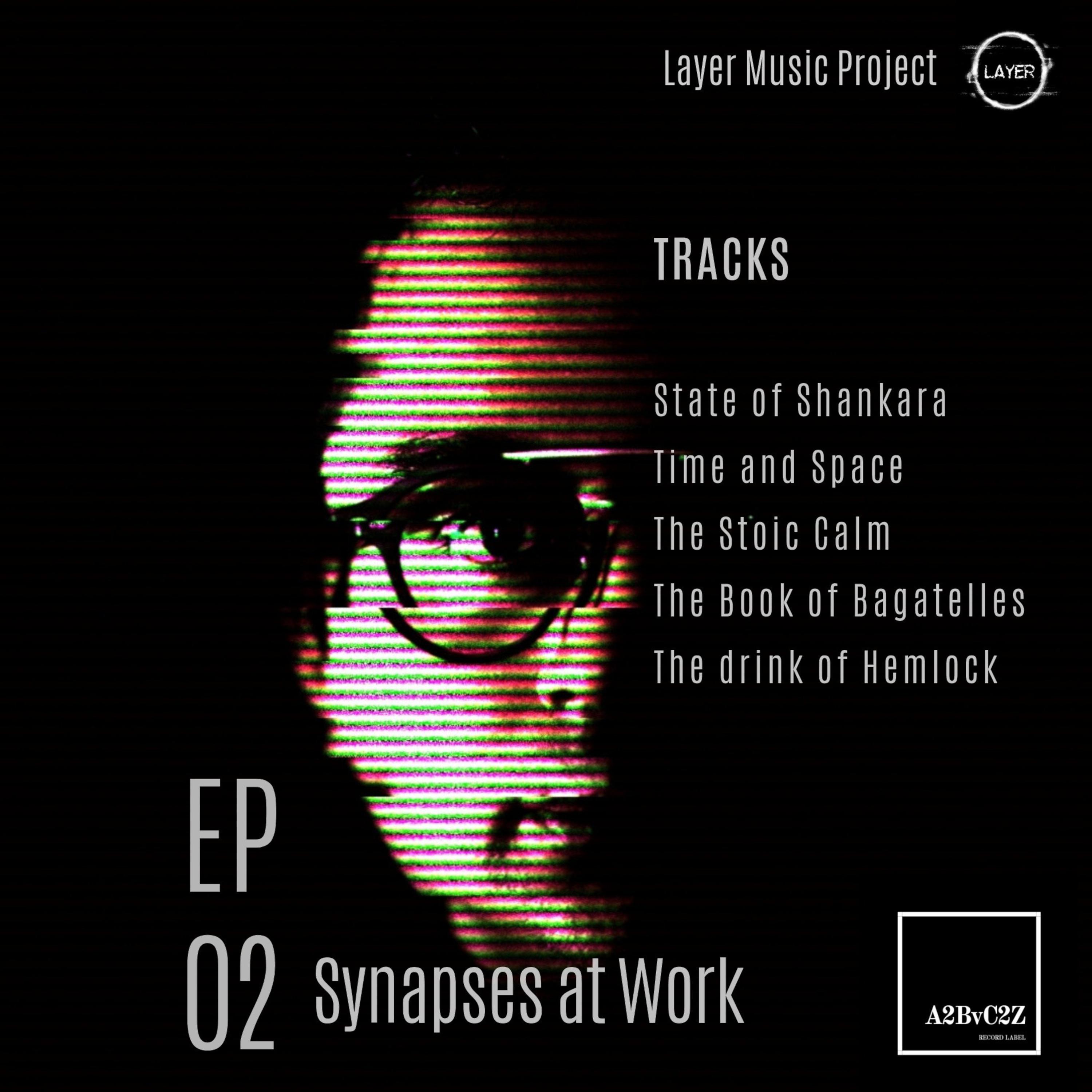 Постер альбома Synapses at Work 2