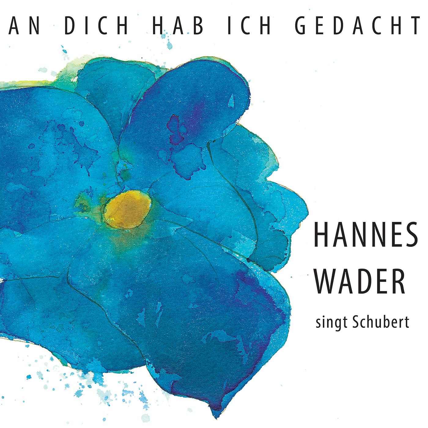 Постер альбома An dich hab ich gedacht – Hannes Wader singt Schubert