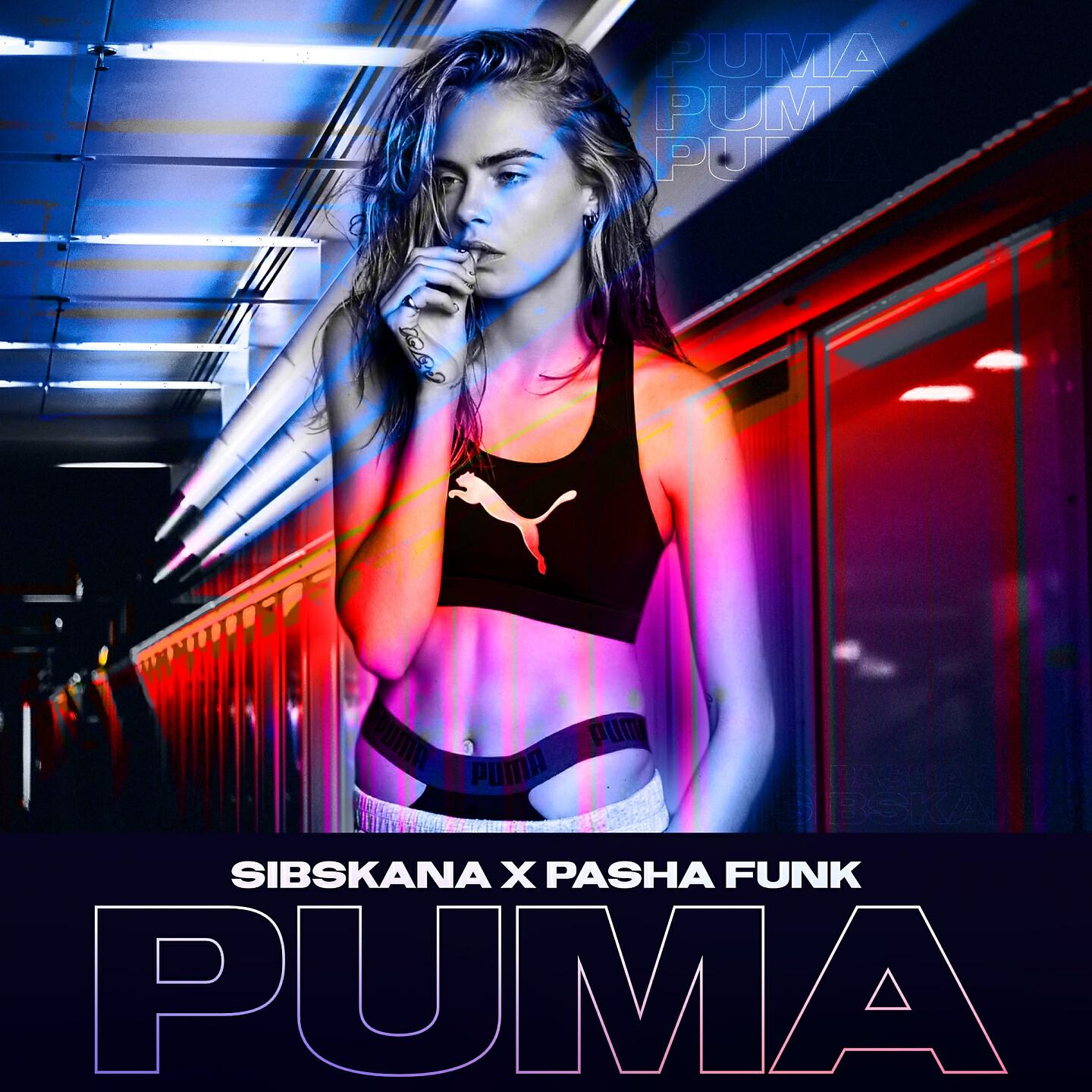Сибскана - Puma