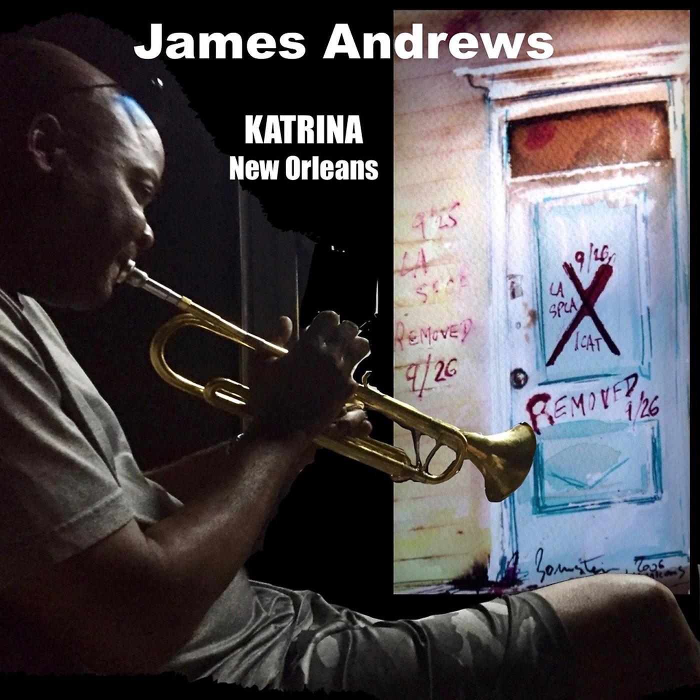 Постер альбома Katrina New Orleans