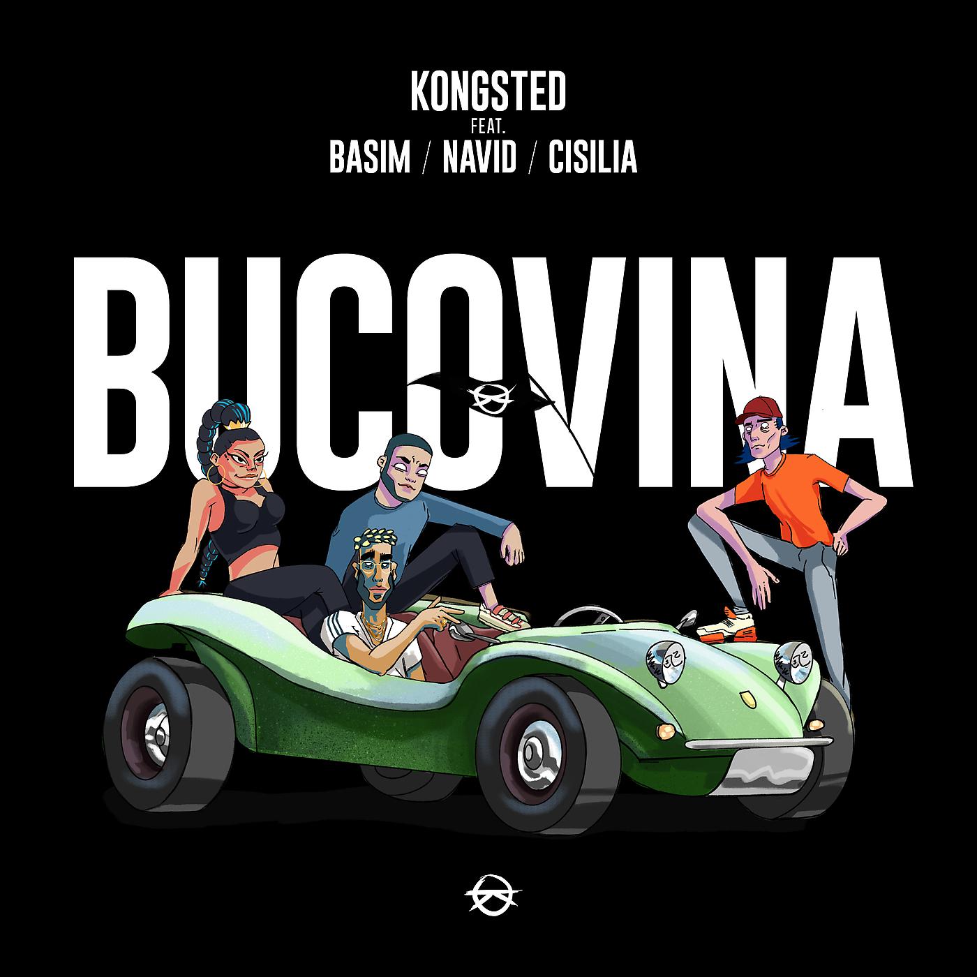 Постер альбома Bucovina