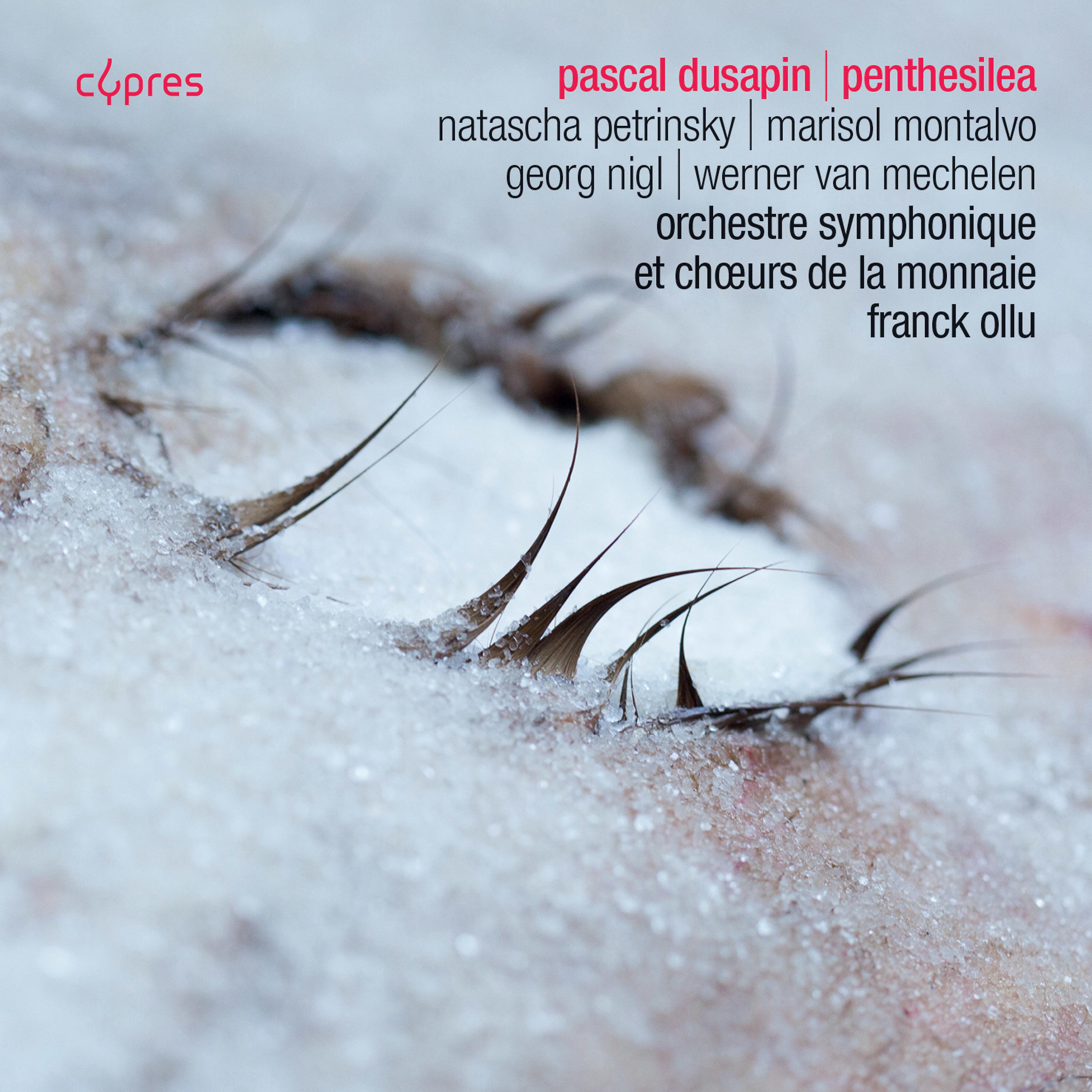 Постер альбома Pascal Dusapin: Penthesilea