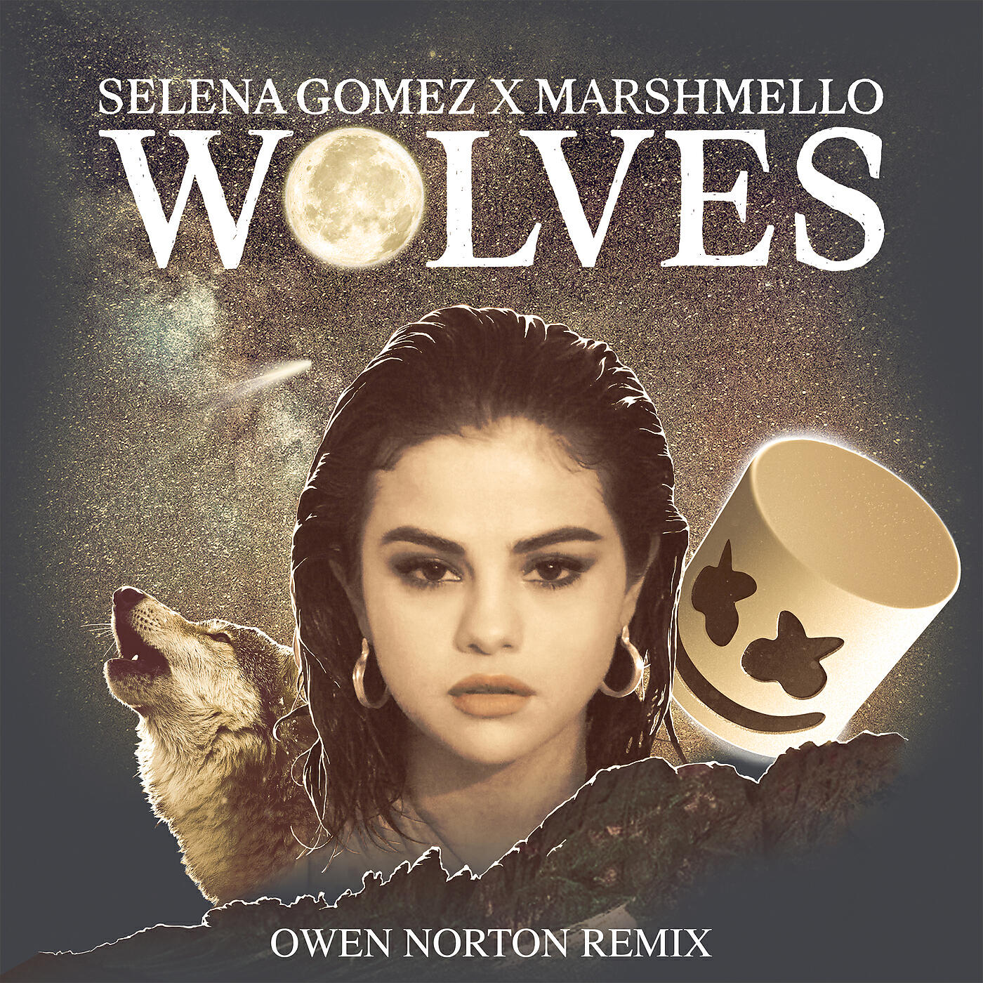 Selena Gomez - Wolves (Owen Norton Remix)