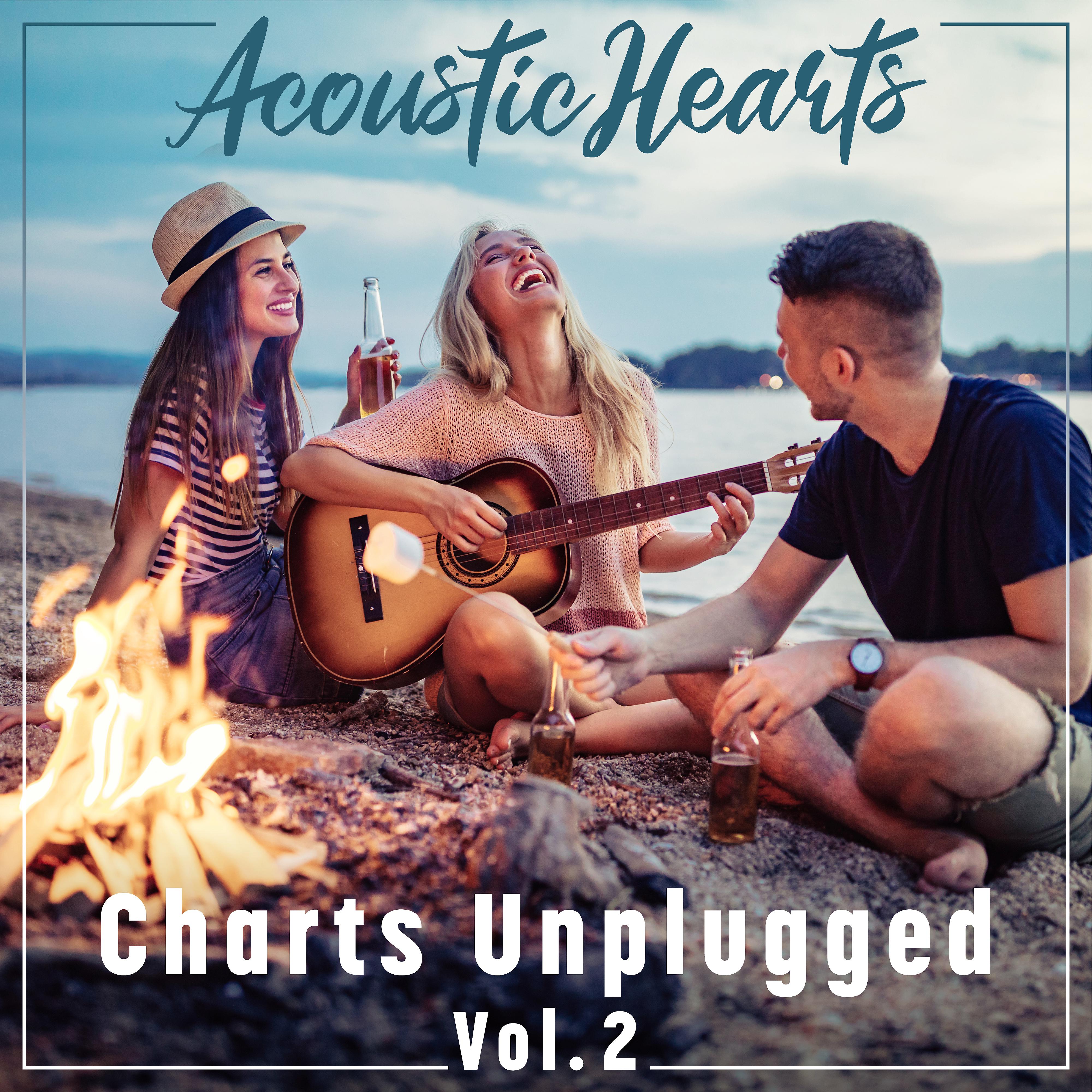 Постер альбома Charts Unplugged, Vol. 2