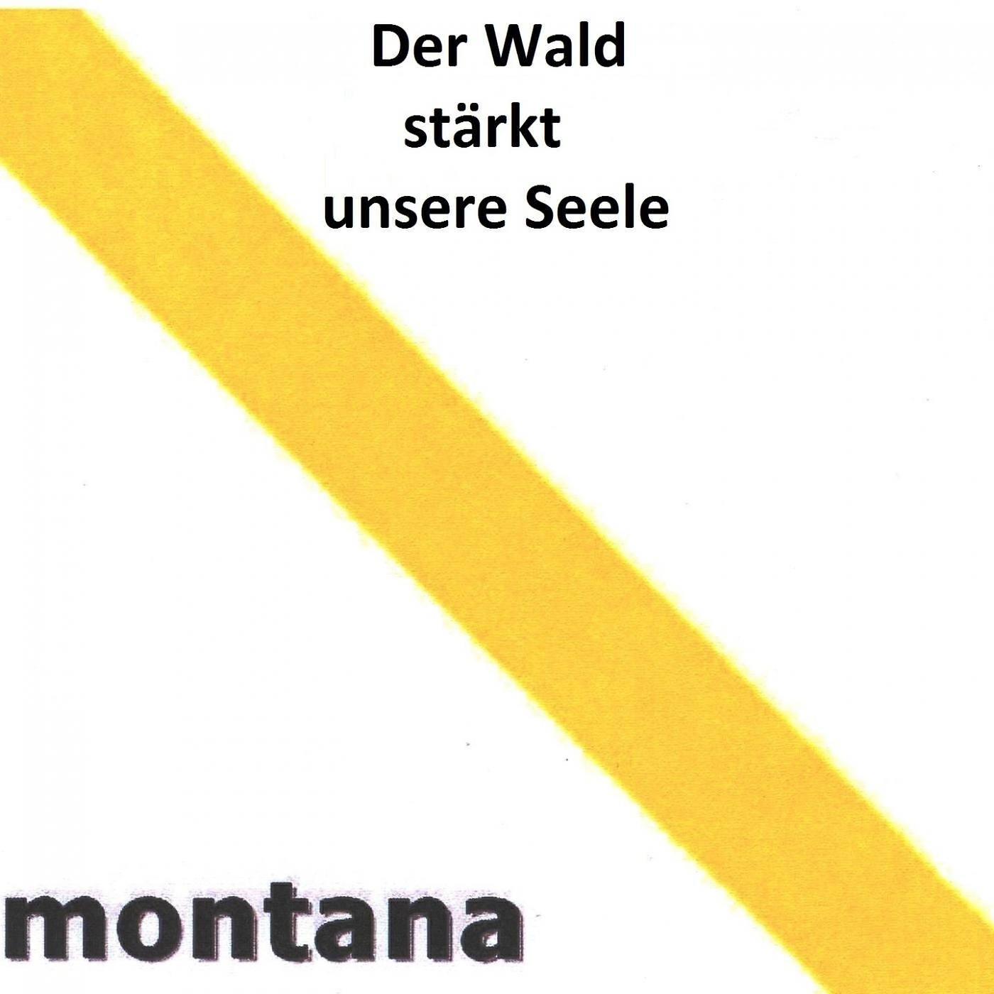 Florian Silbereisen - Waldeslust
