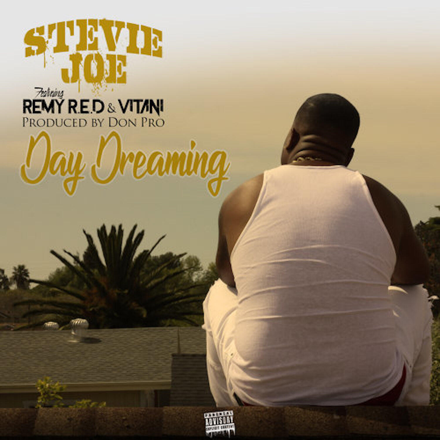 Stevie Joe - Day Dreaming (feat. Remy R.E.D & Vitani)