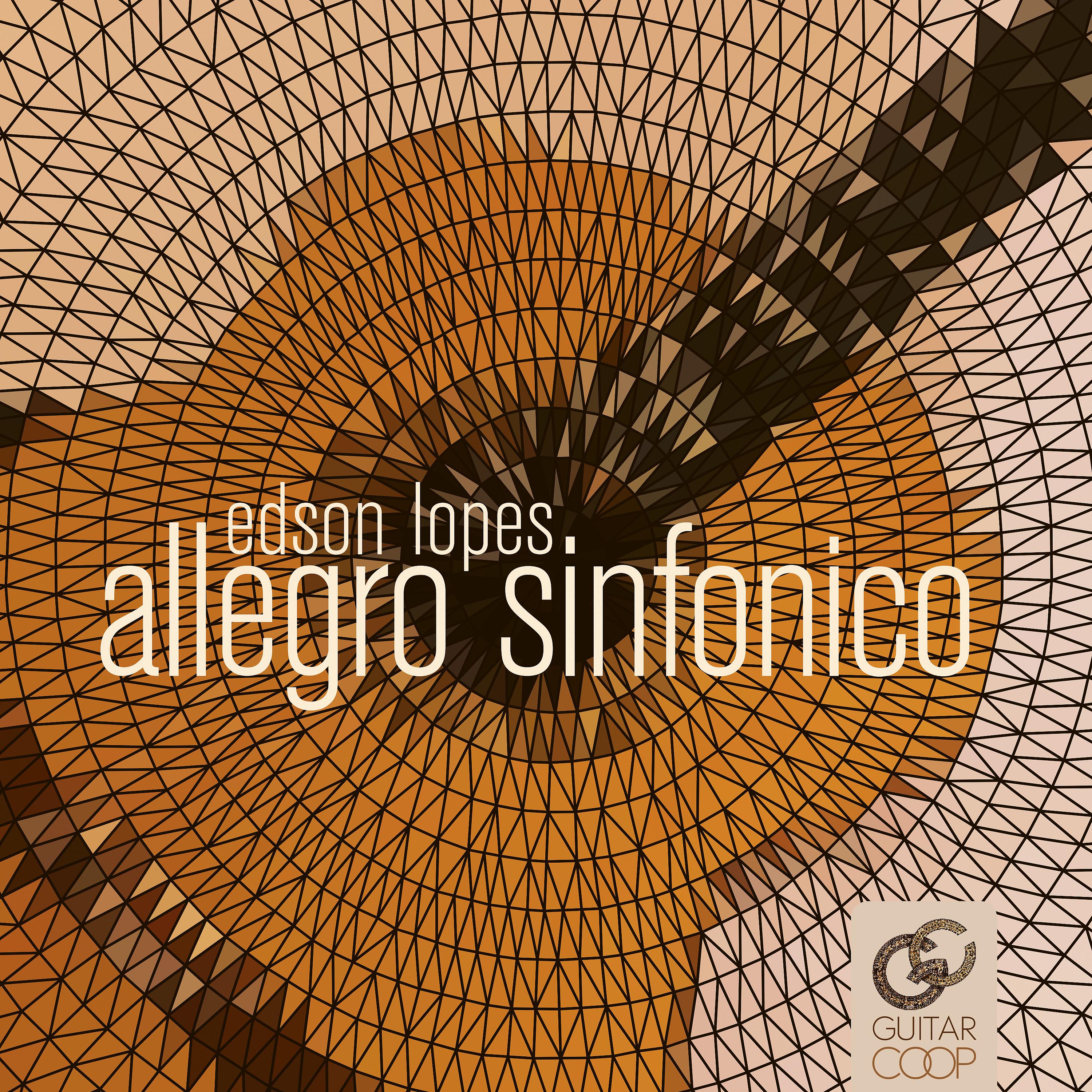 Постер альбома Allegro Sinfonico