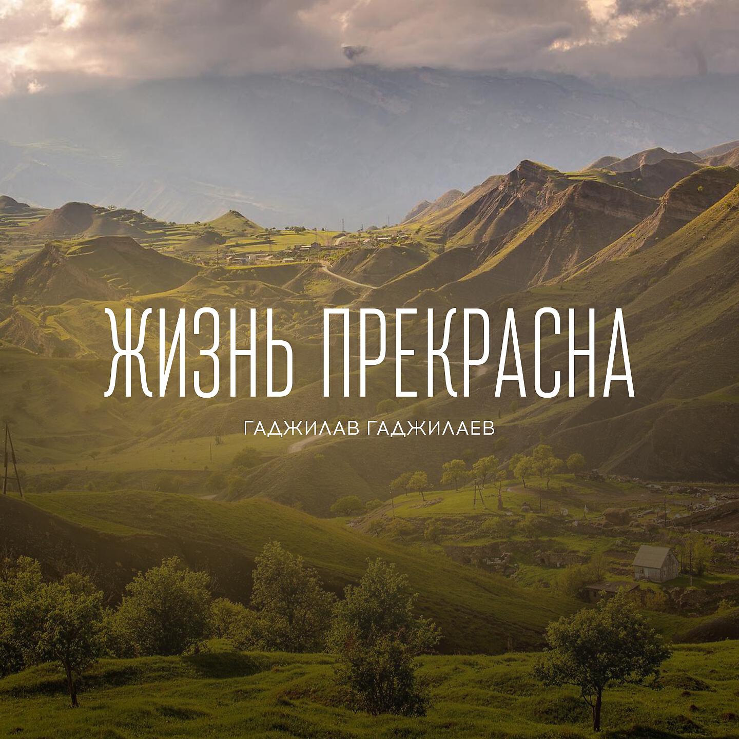 Постер альбома Жизнь прекрасна