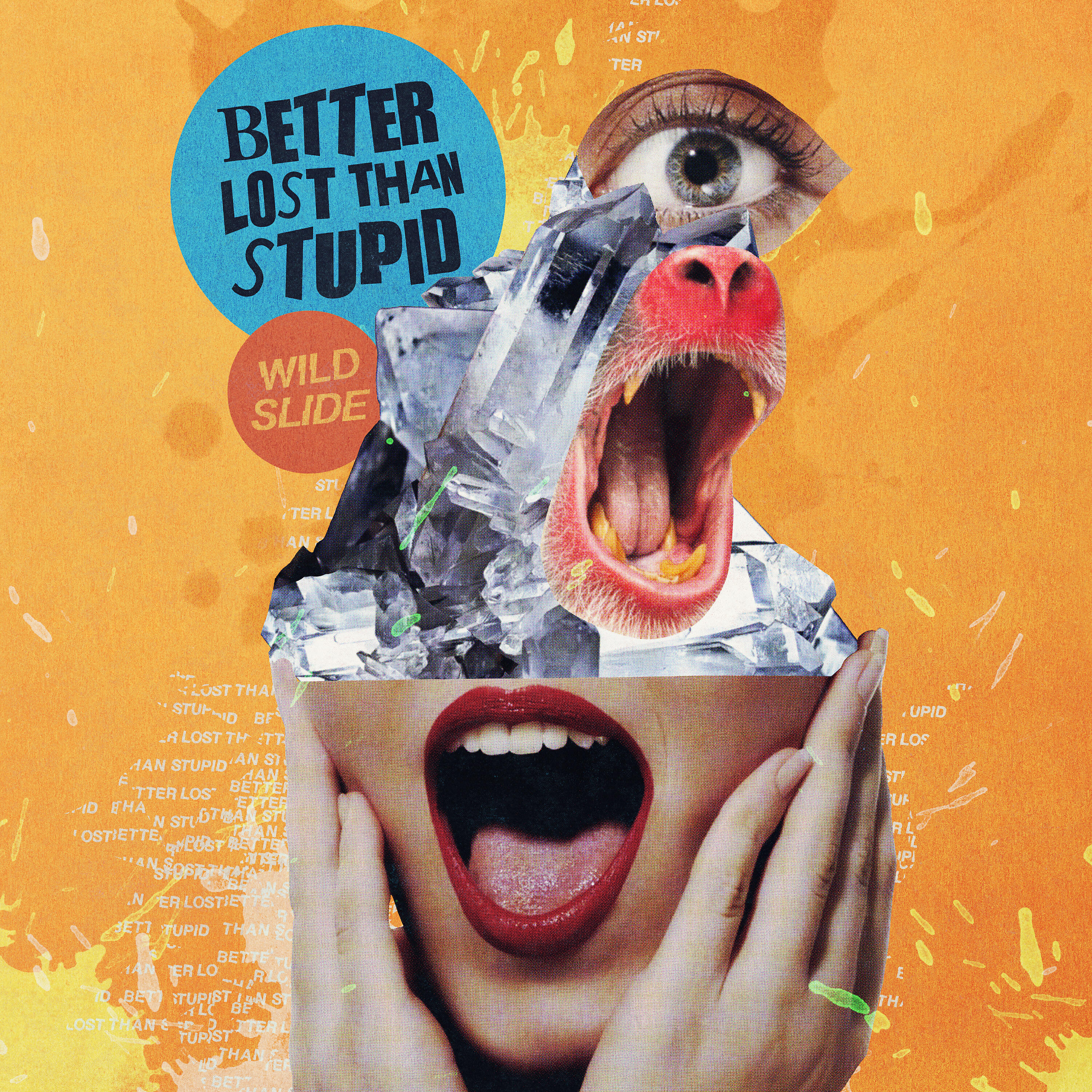 Better Lost Than Stupid - Wild Slide (feat. Chaney)