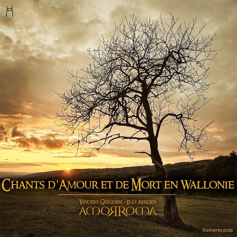 Постер альбома Chants d'amour et de mort en Wallonie