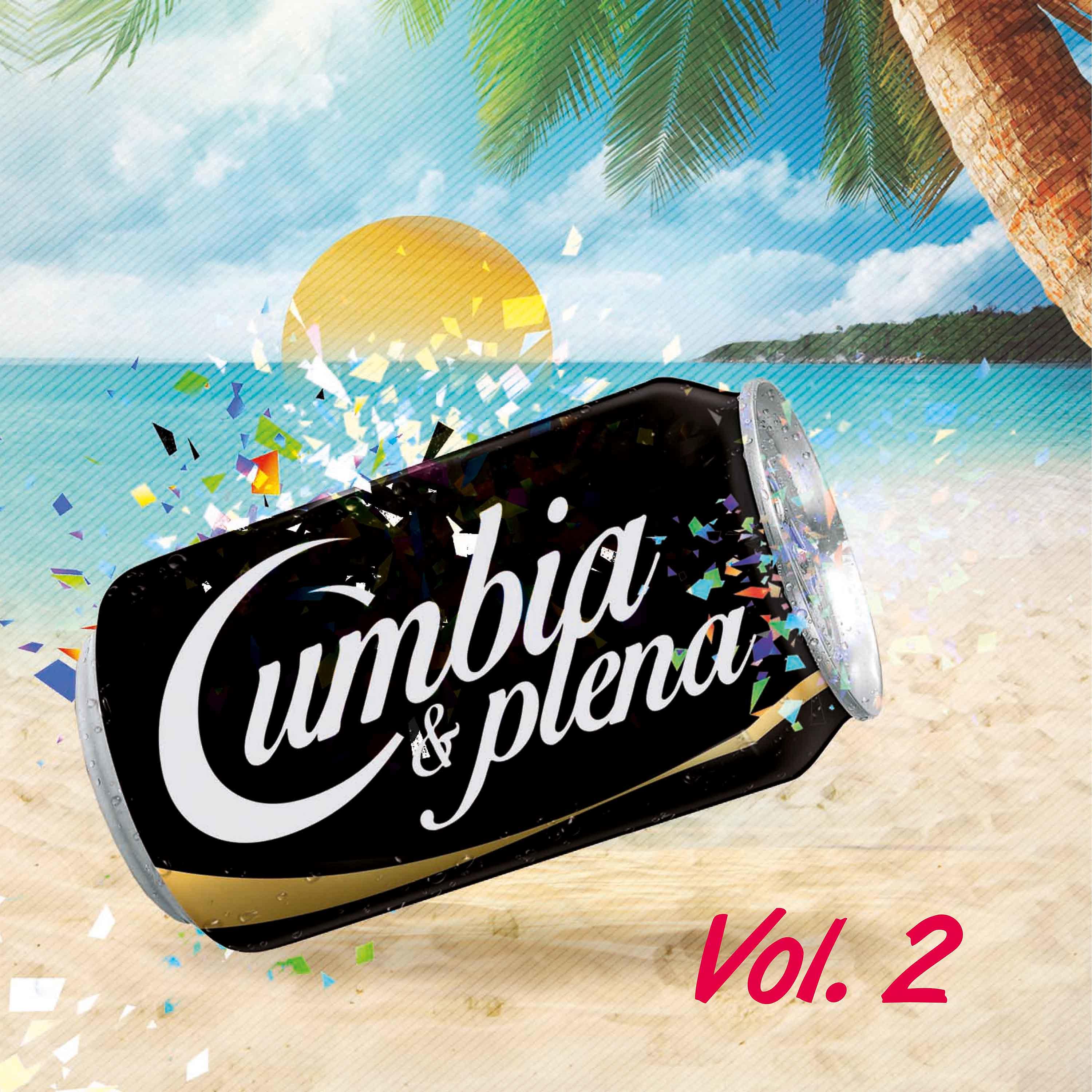 Постер альбома Cumbia y Plena Vol. 2