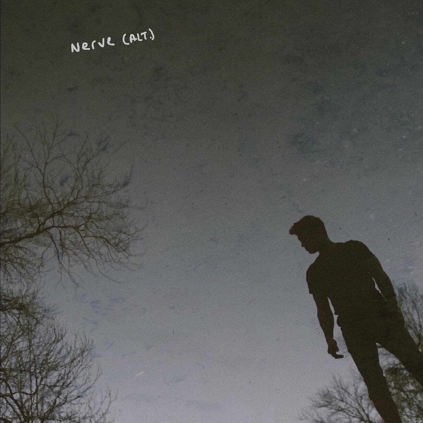 Постер альбома Nerve (Alt.)