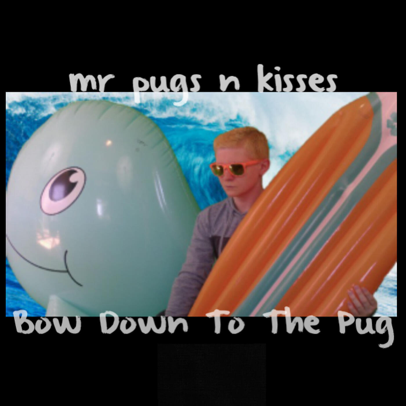 mr pugs n kisses - Karma