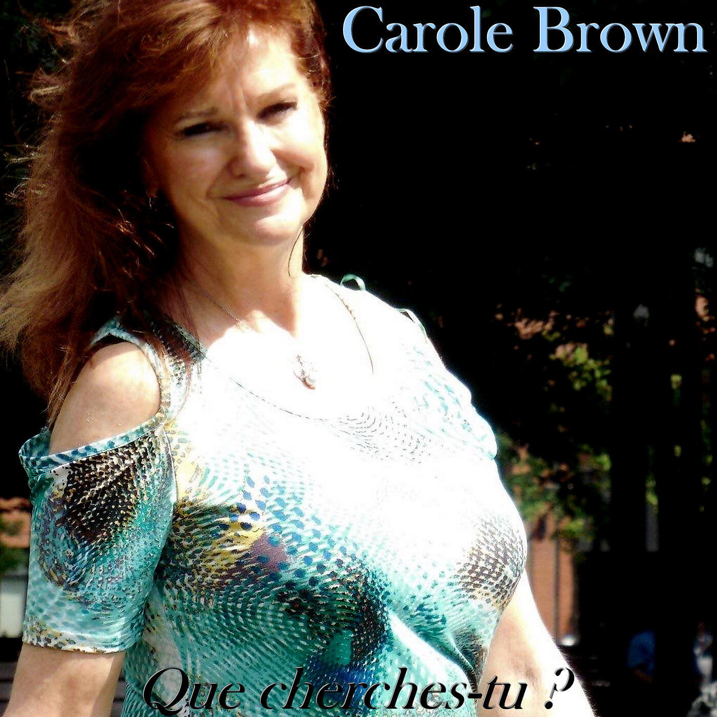 Carole Brown - Que cherches-tu ?