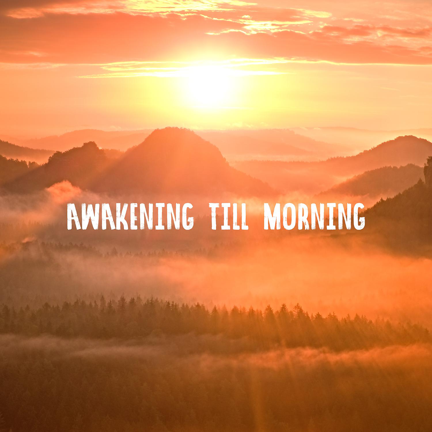 Постер альбома Awakening Till Morning: Making Love Music