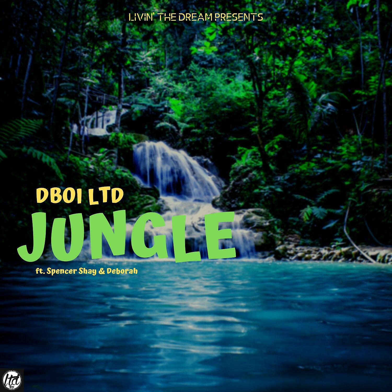 Постер альбома Jungle (feat. Spencer Shay & Deborah)