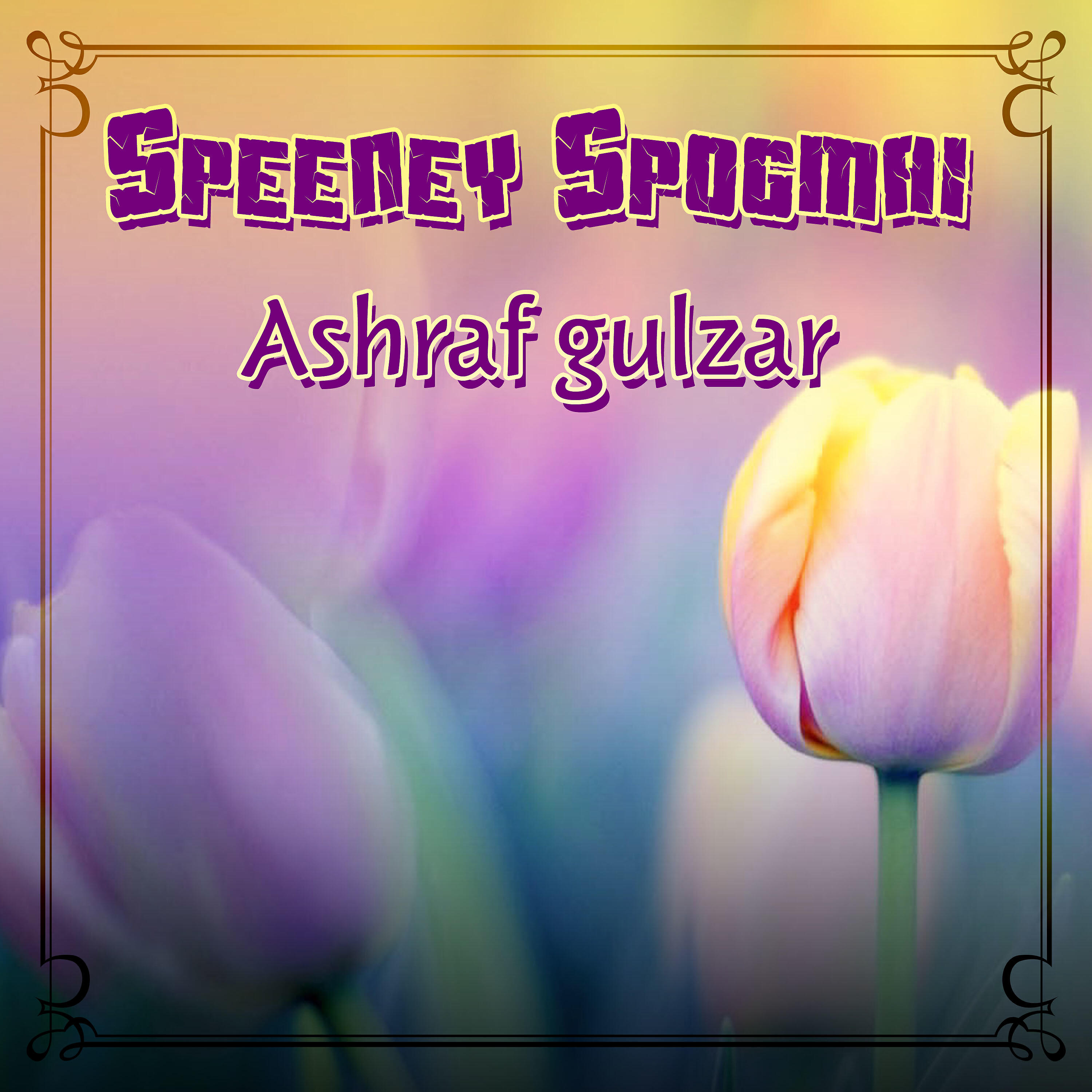 Ashraf Gulzar - Tuney To Chor Dia