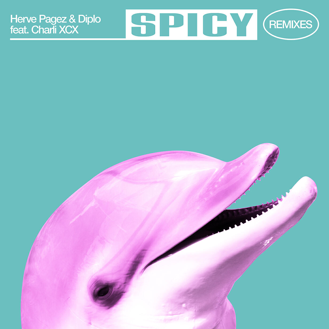 Herve Pagez - Spicy (Herve Pagez VIP)