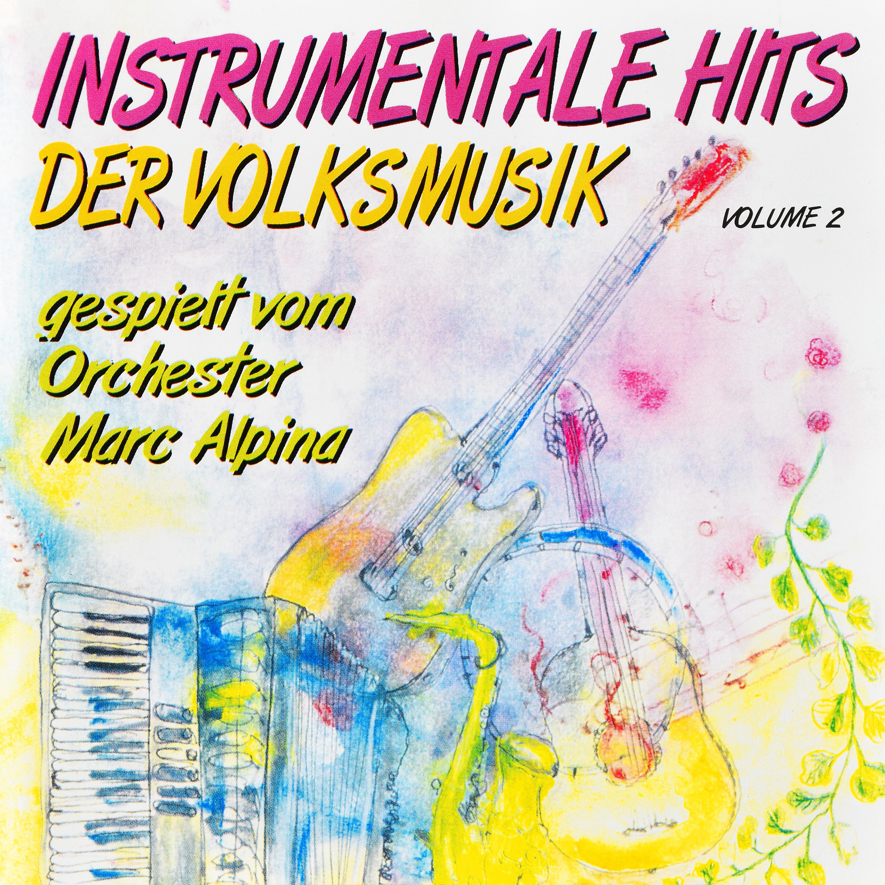 Постер альбома Instrumentale Hits der Volksmusik, Vol. 2