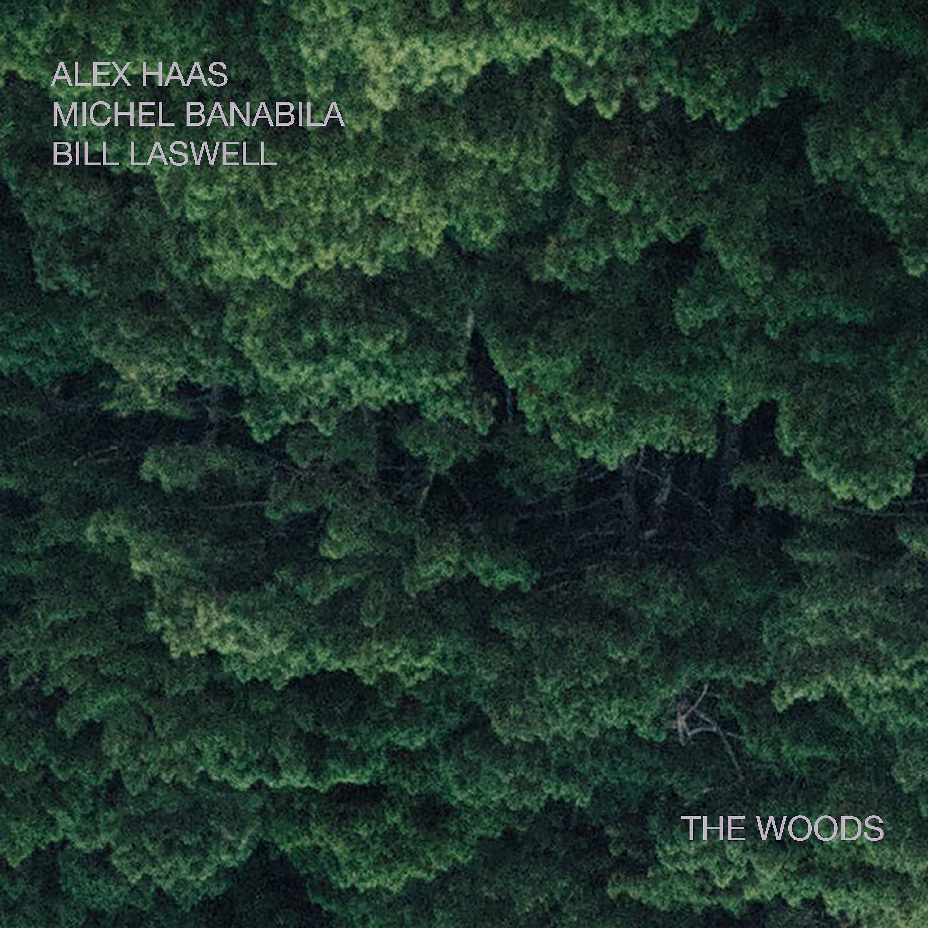 Bill Laswell - The Woods