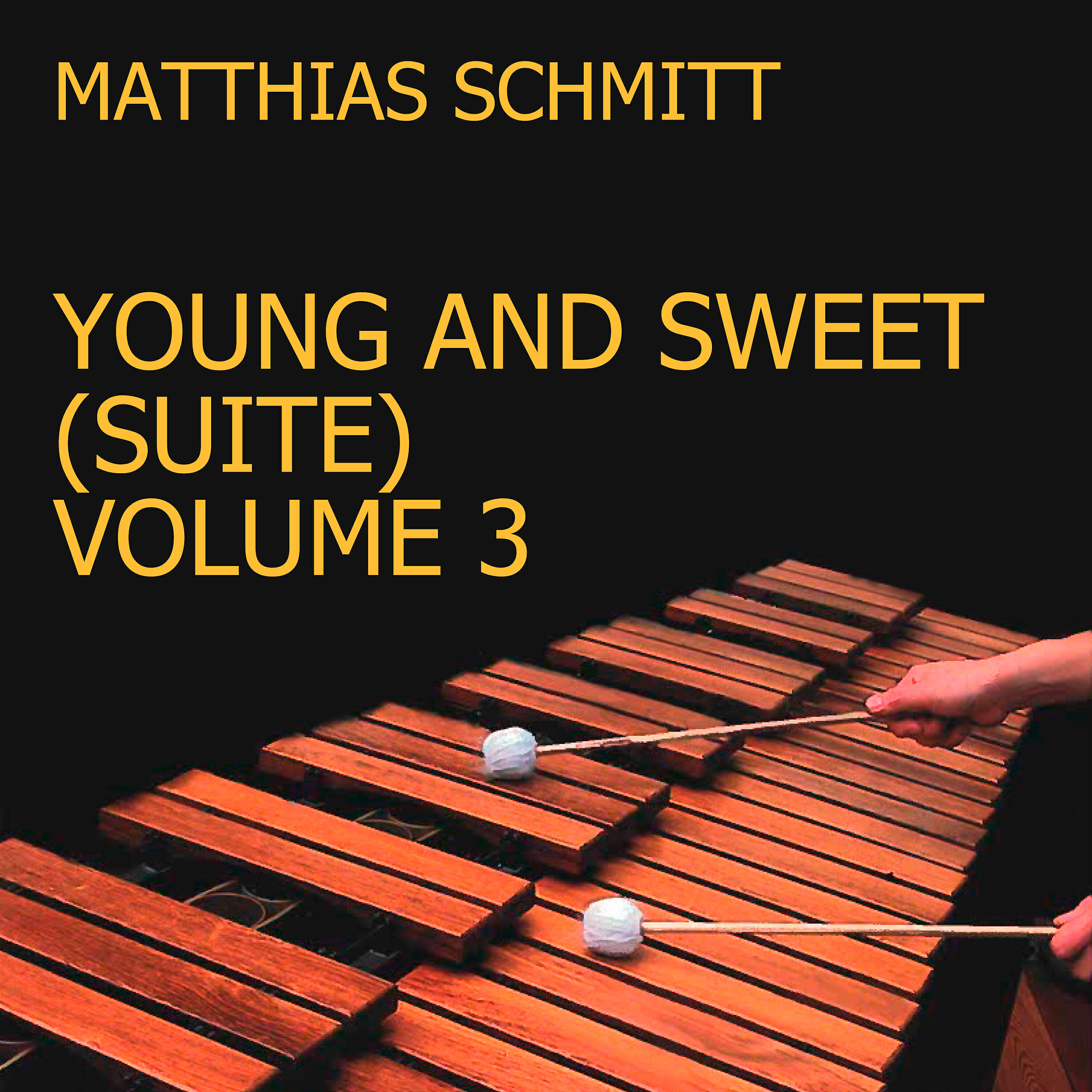 Matthias Schmitt - Companion