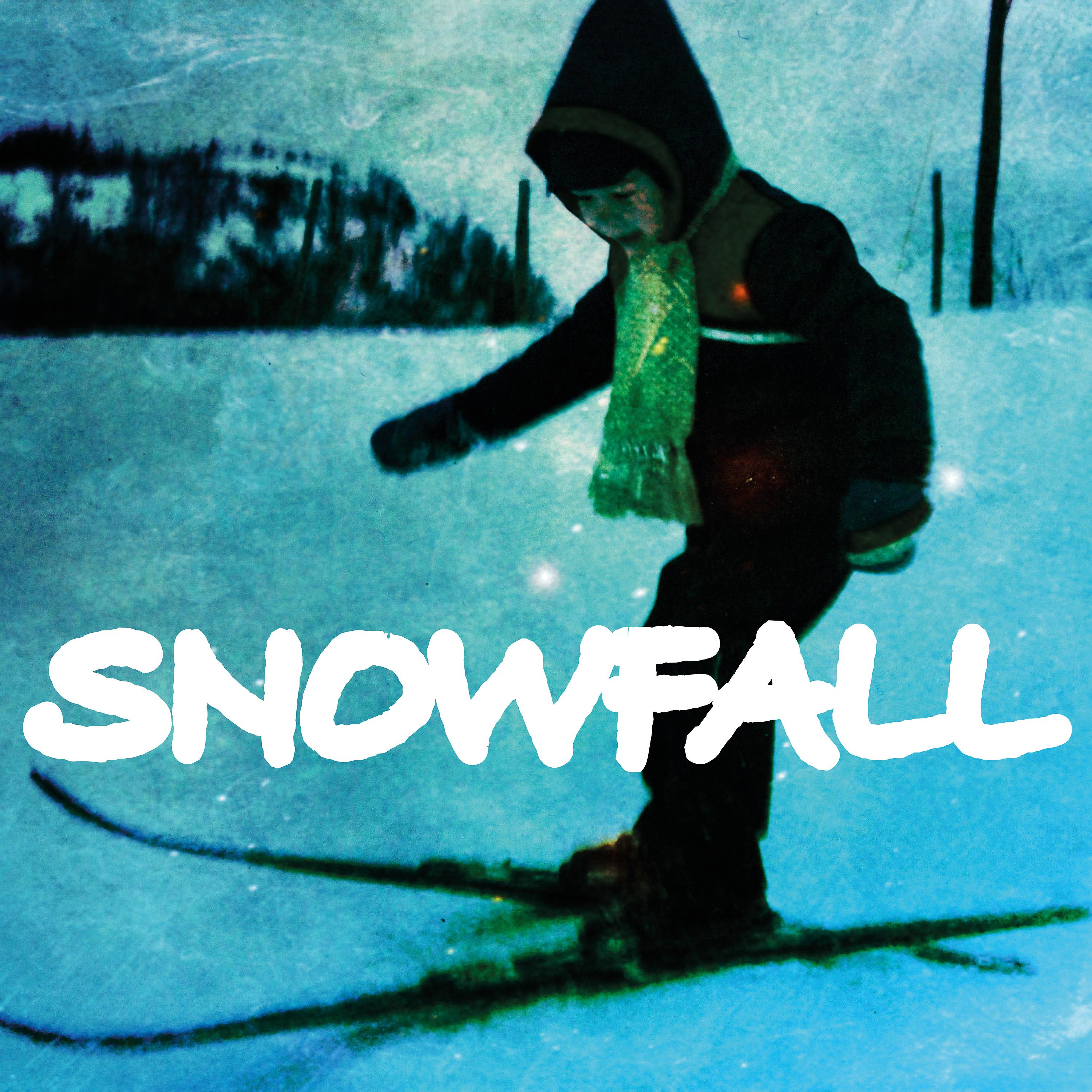 Постер альбома Snowfall