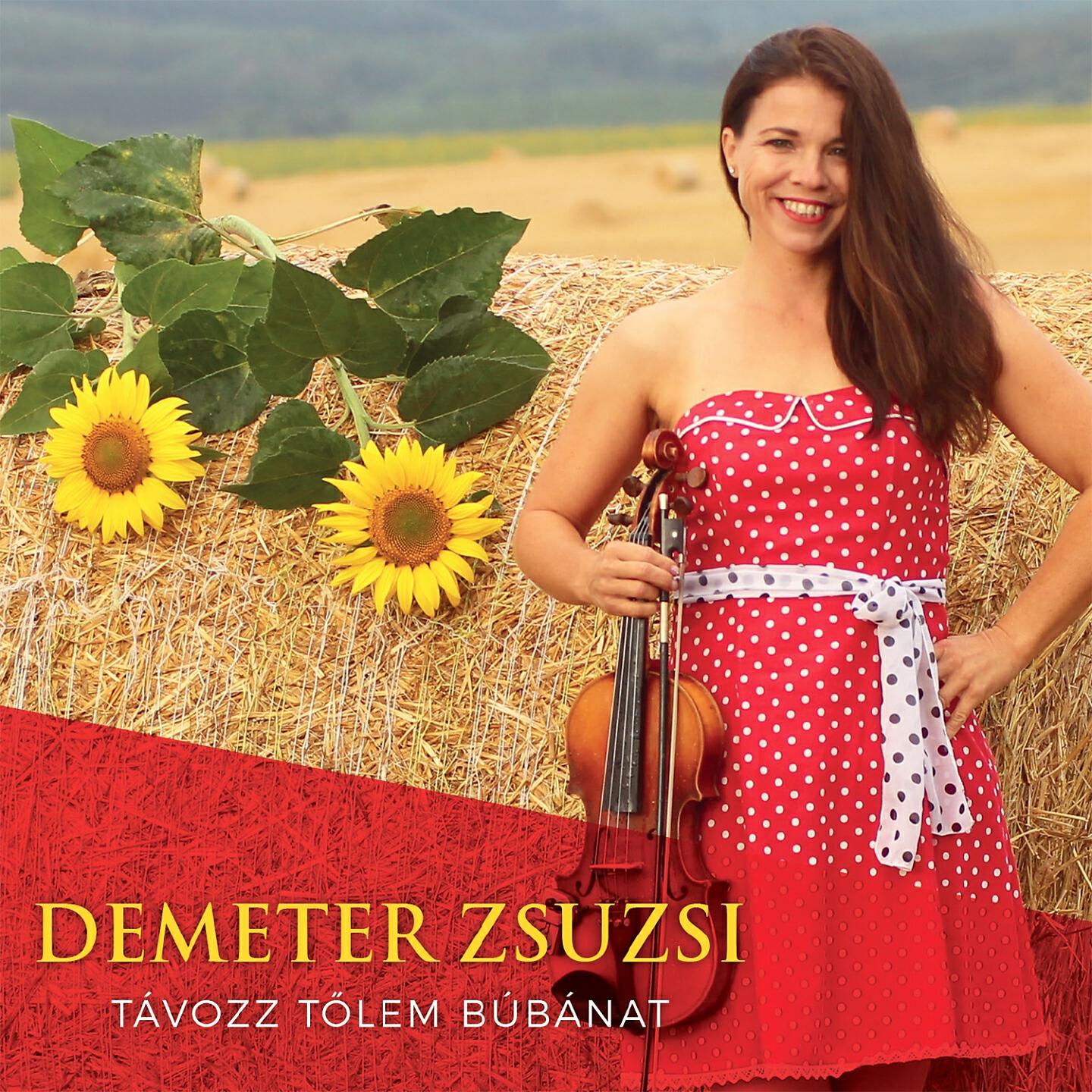 Demeter Zsuzsi - Polgármester, drága kedves Polgármester