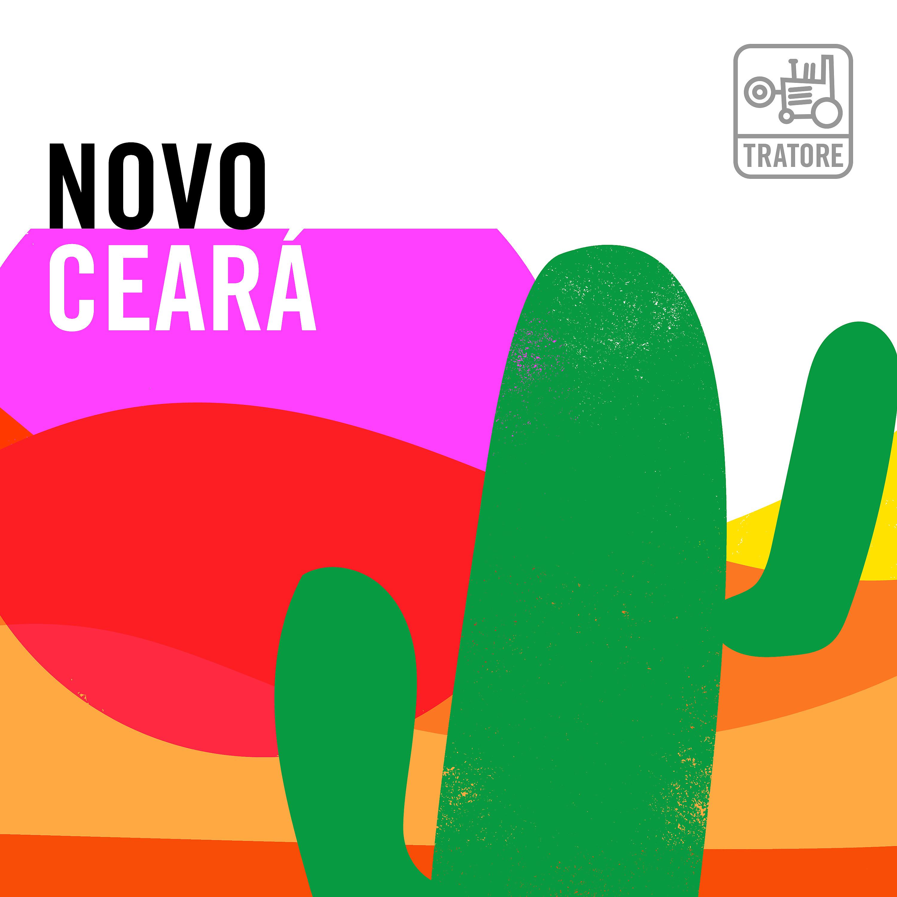 Постер альбома Novo Ceará: O Melhor da Música Cearense Independente