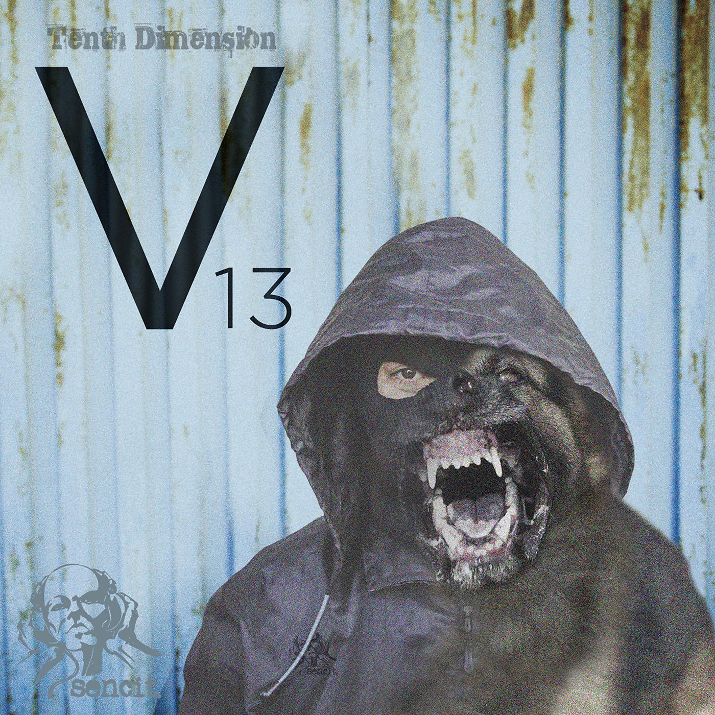 Постер альбома Tenth Dimension V13