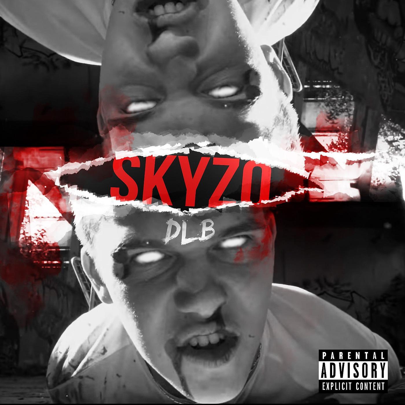 Постер альбома Skyzo