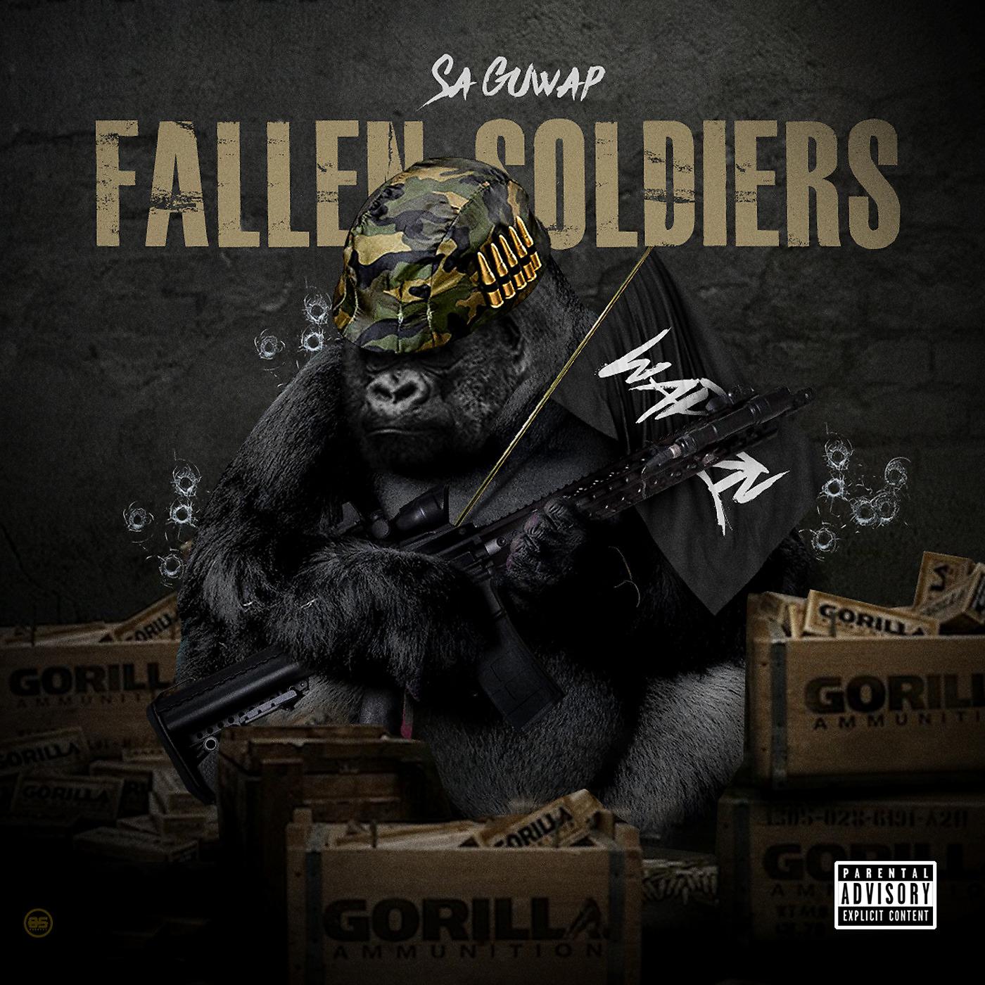 Постер альбома Fallen Soldiers