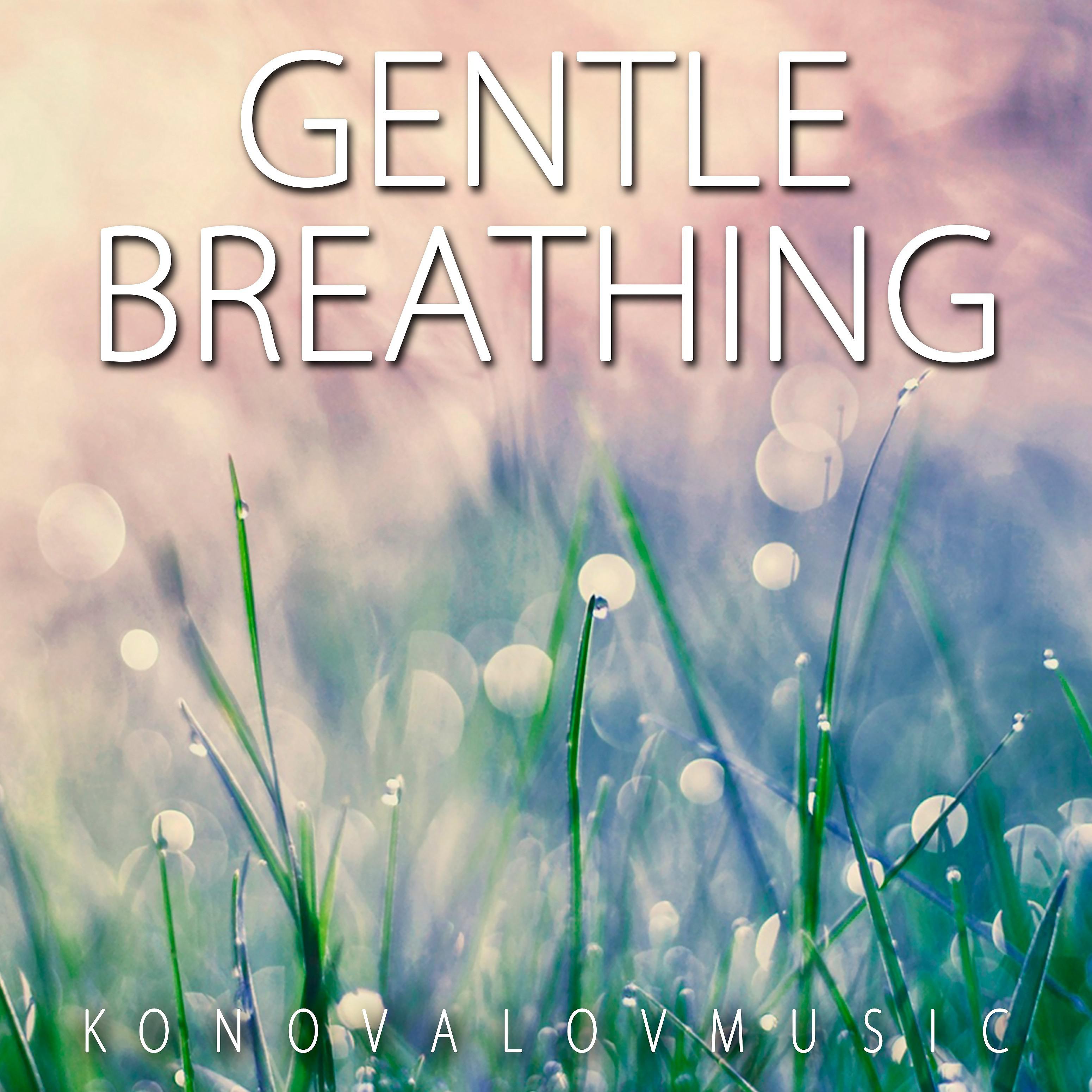 Постер альбома Gentle Breathing