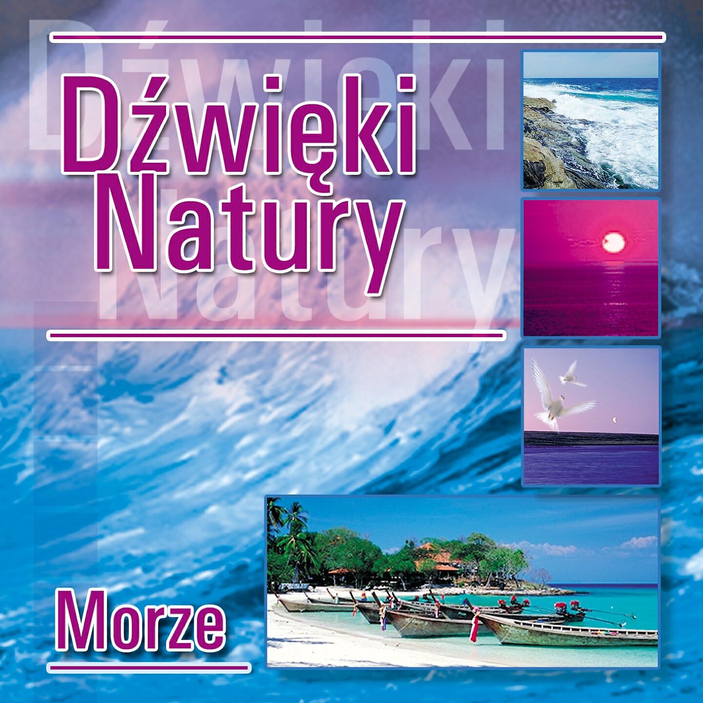 Dźwięki Natury - Powrót nad morze