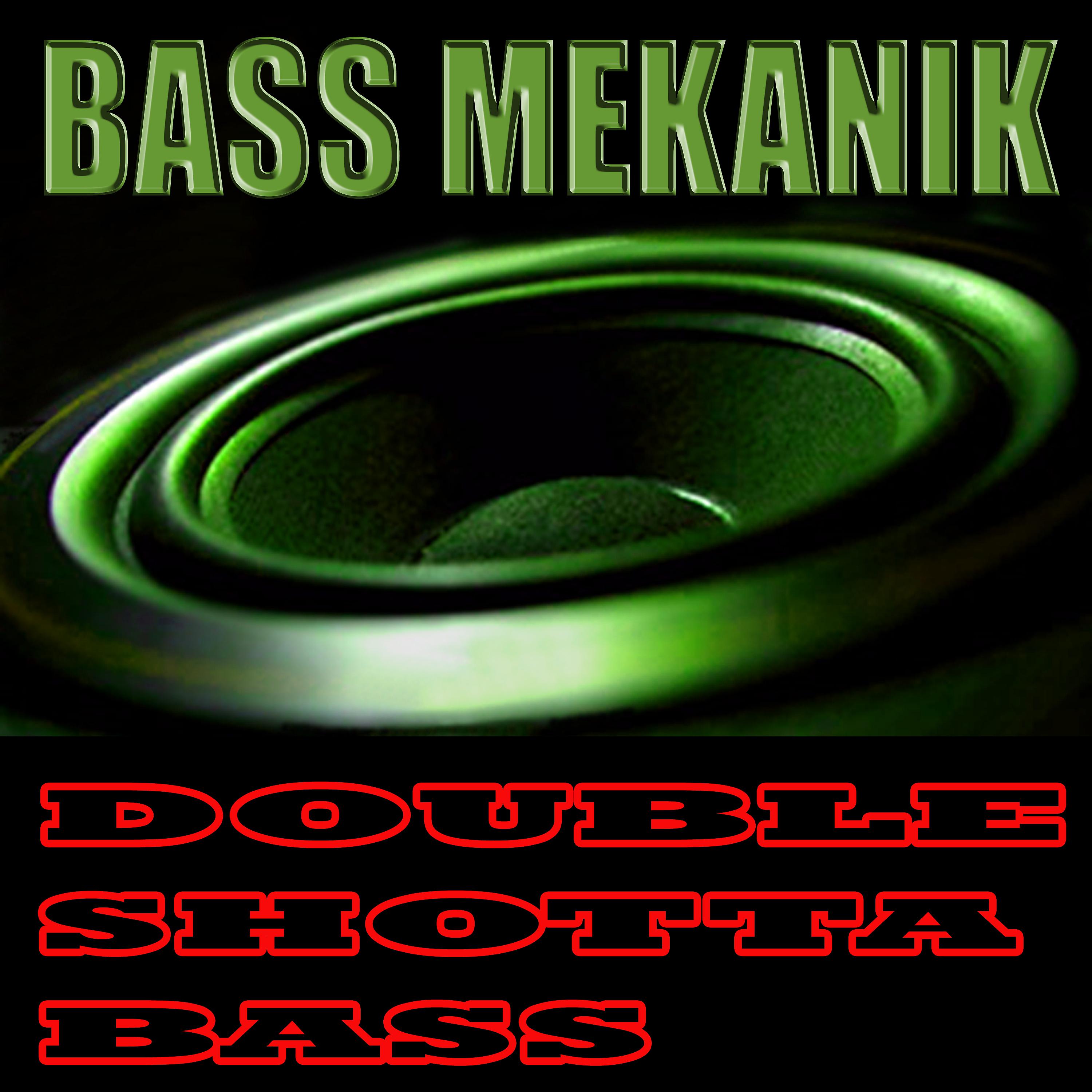 Постер альбома Double Shotta Bass