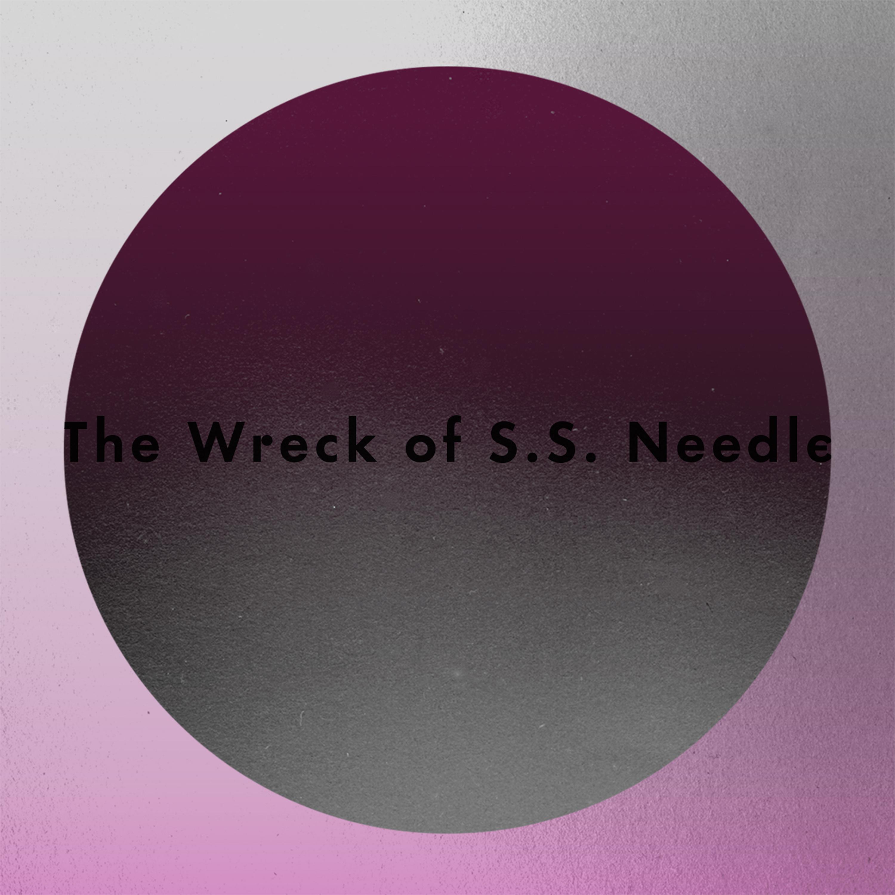 Постер альбома The Wreck of S.S. Needle
