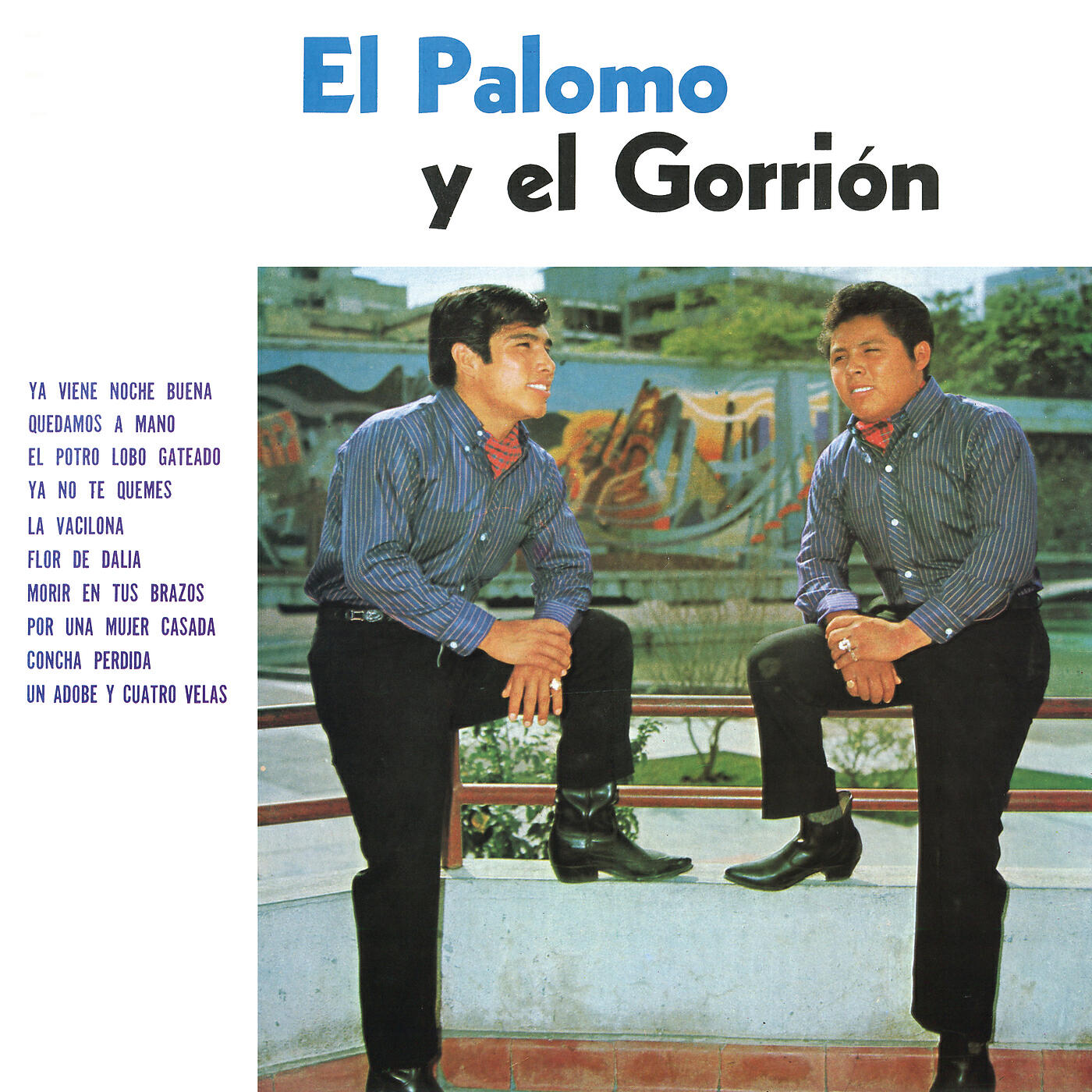 El Palomo Y El Gorrion - La Vacilona