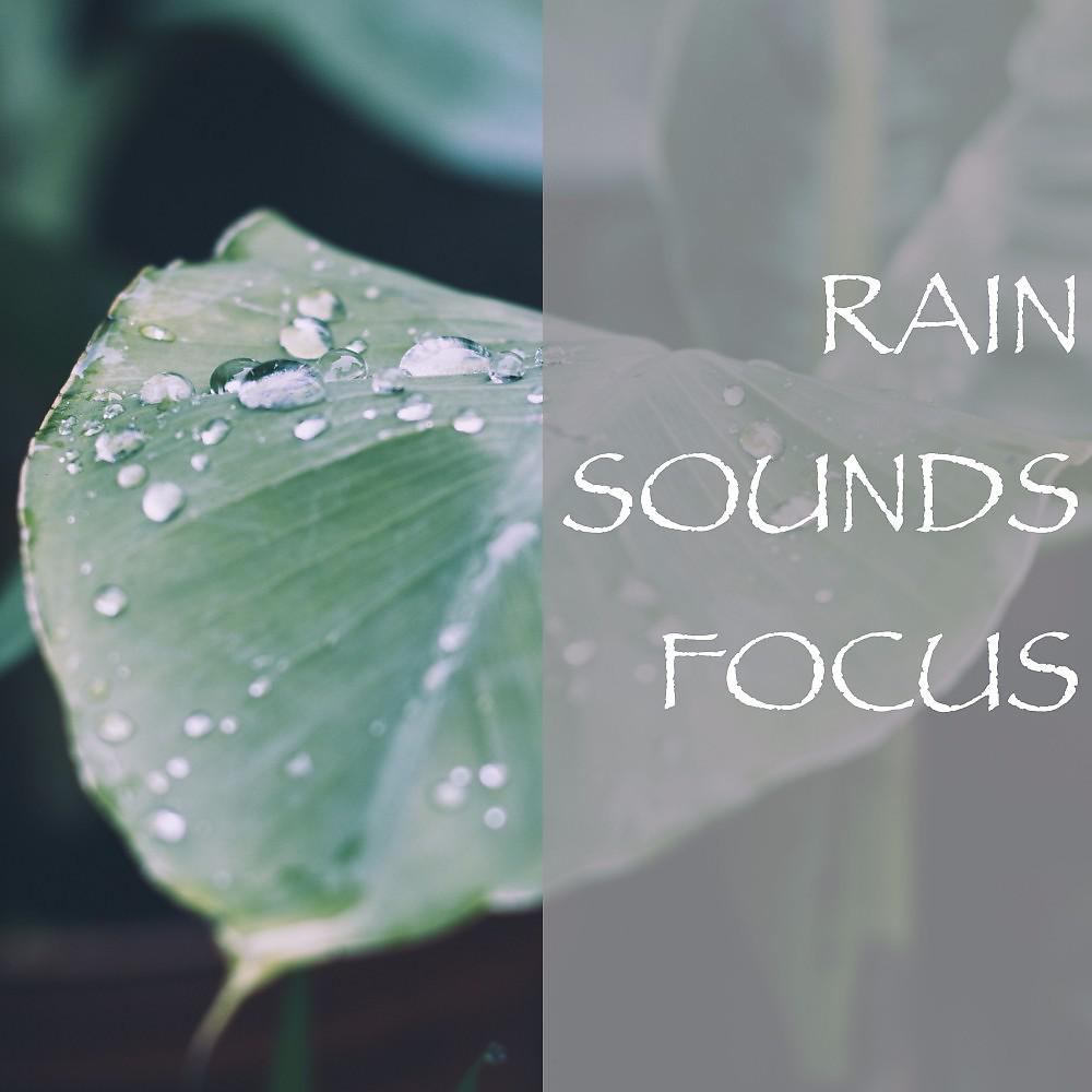 Постер альбома Rain Sounds Focus