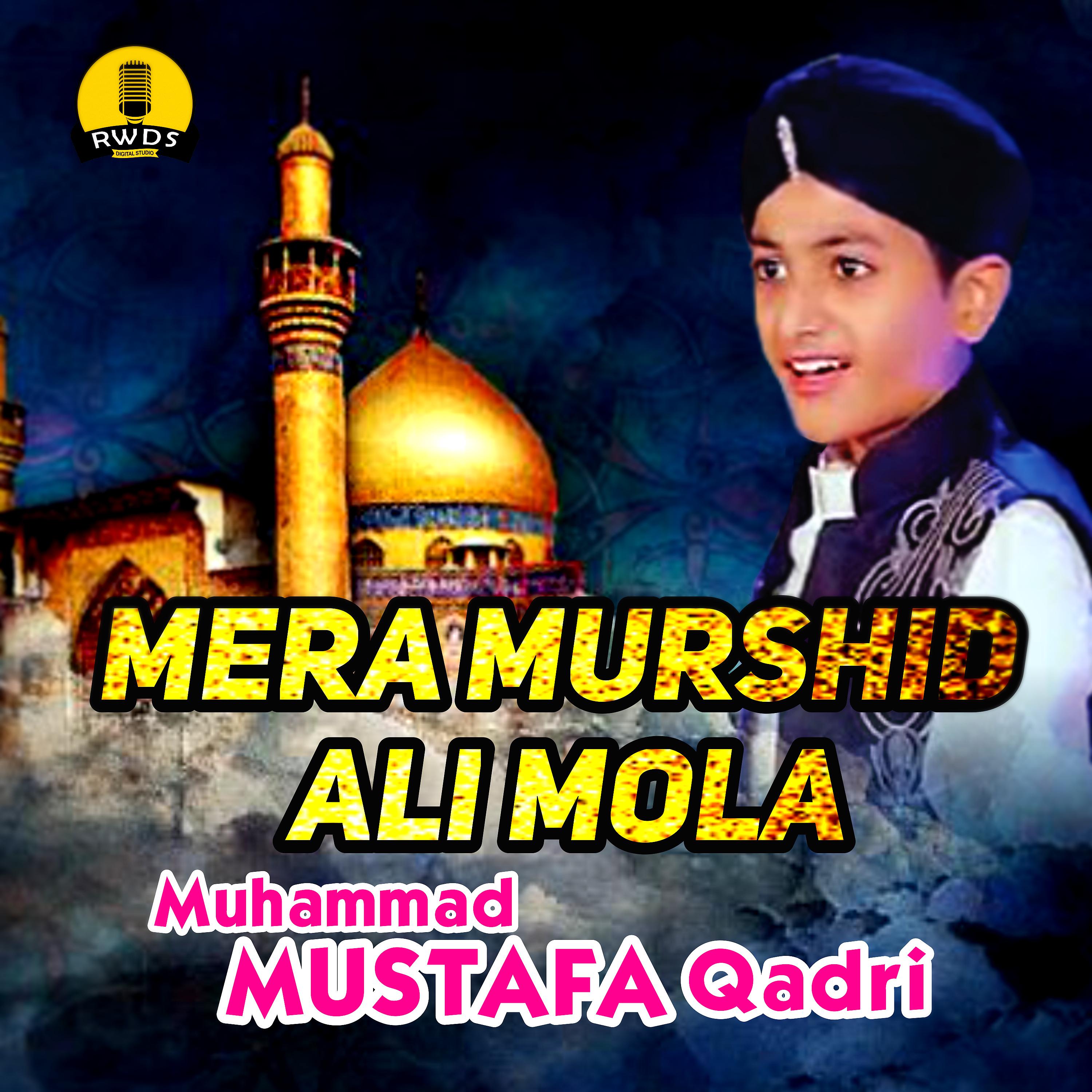 Постер альбома Mera Murshid Ali Mola