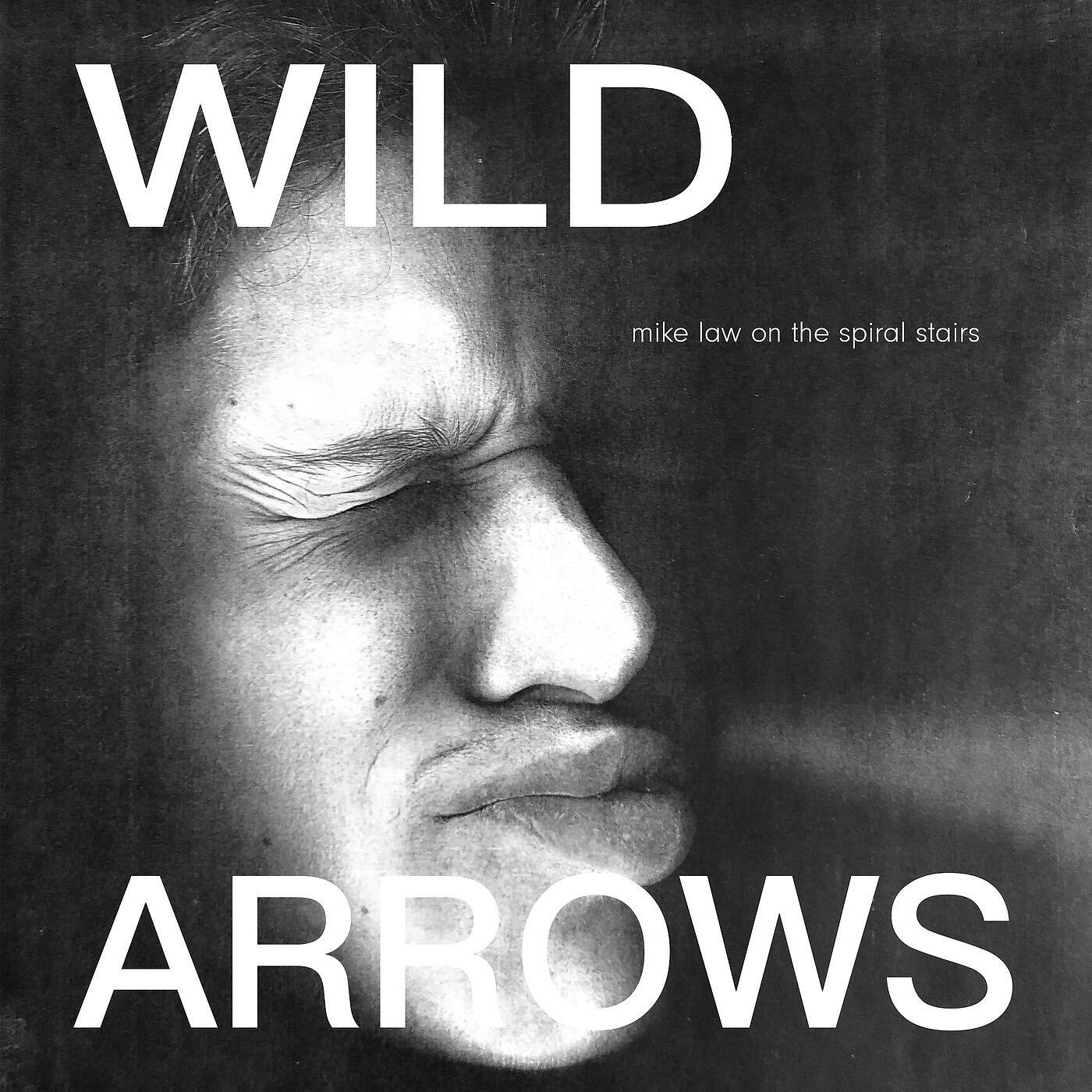 Wild Arrows - All the Dead Spots