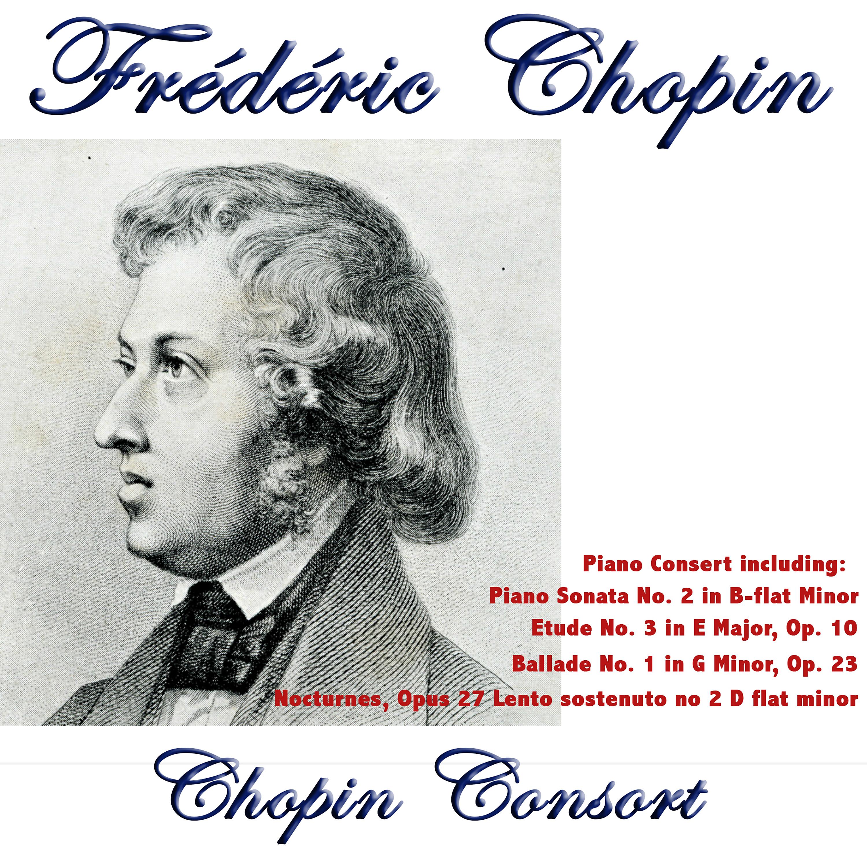 Постер альбома Chopin Consort
