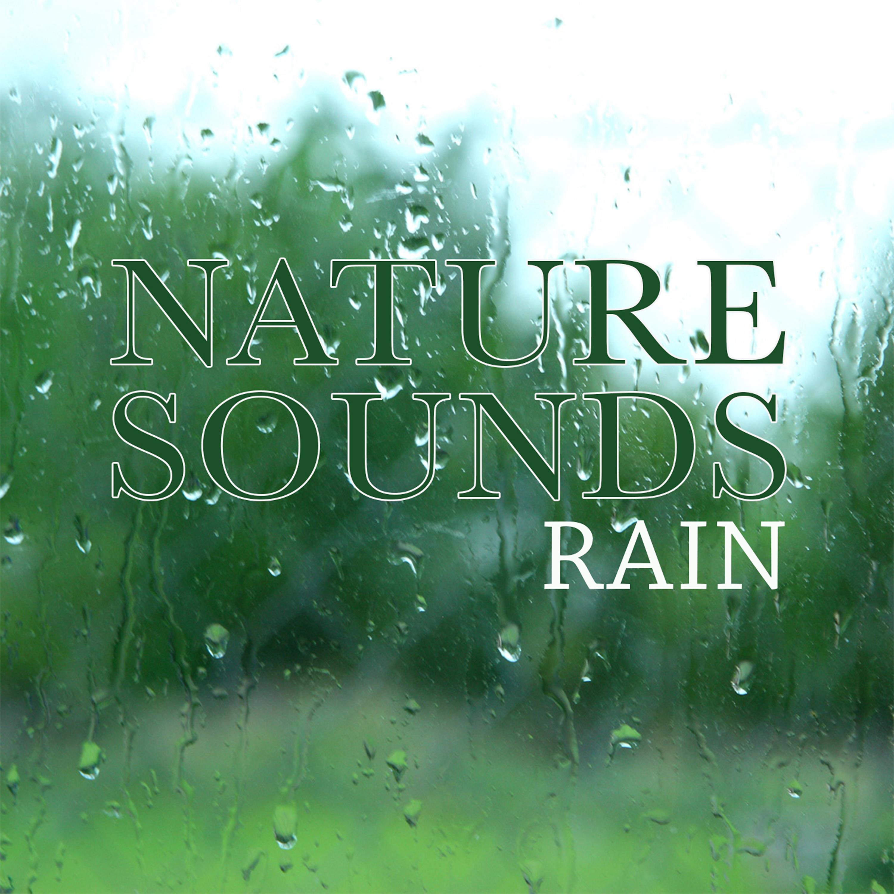 Постер альбома Nature Sound Rain