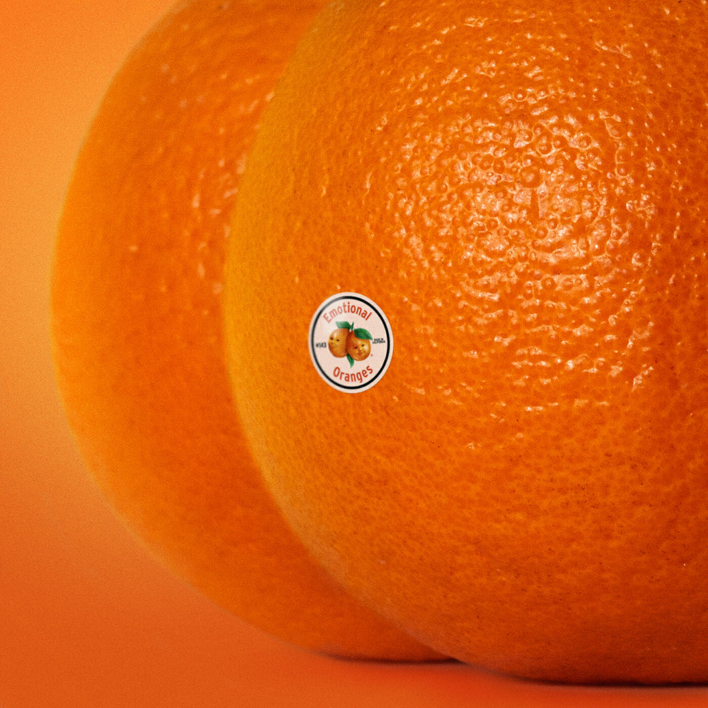 Emotional Oranges - Your Best Friend Is A Hater