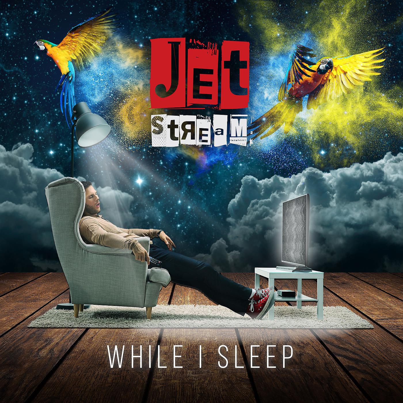 Постер альбома While I Sleep