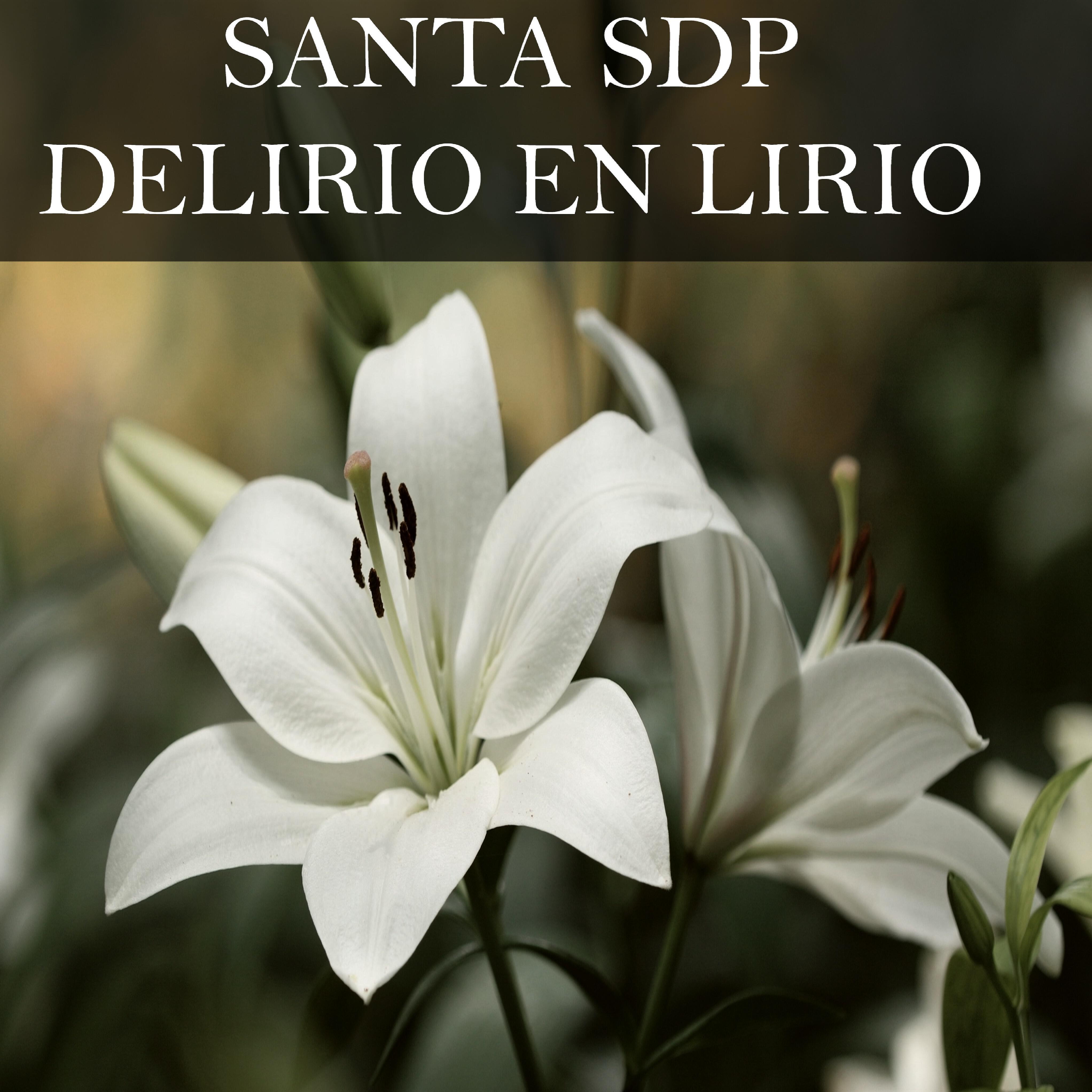 Santa SDP - Delirio En Lirio
