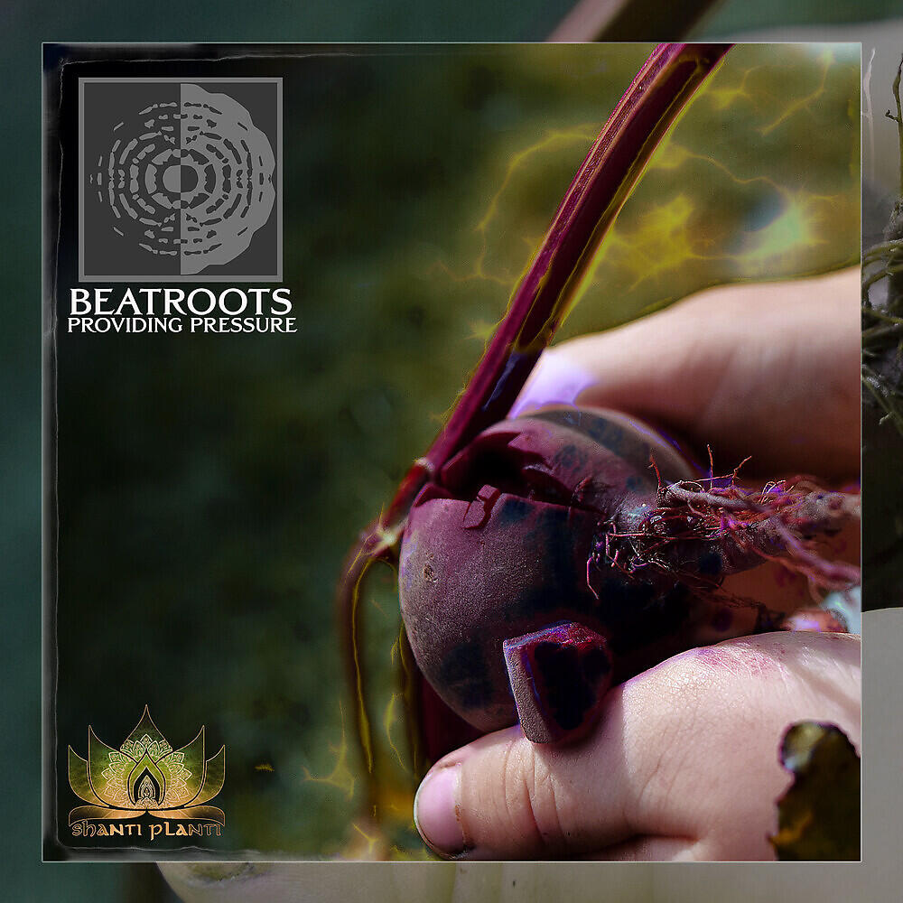 Beatroots - Siren Call