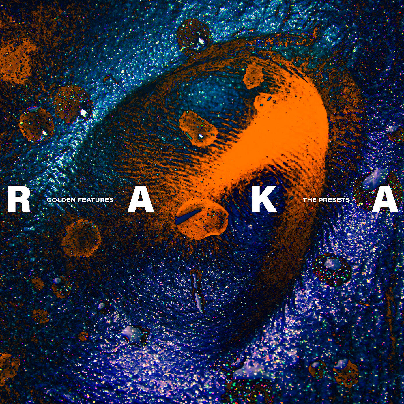 Golden Features - Raka