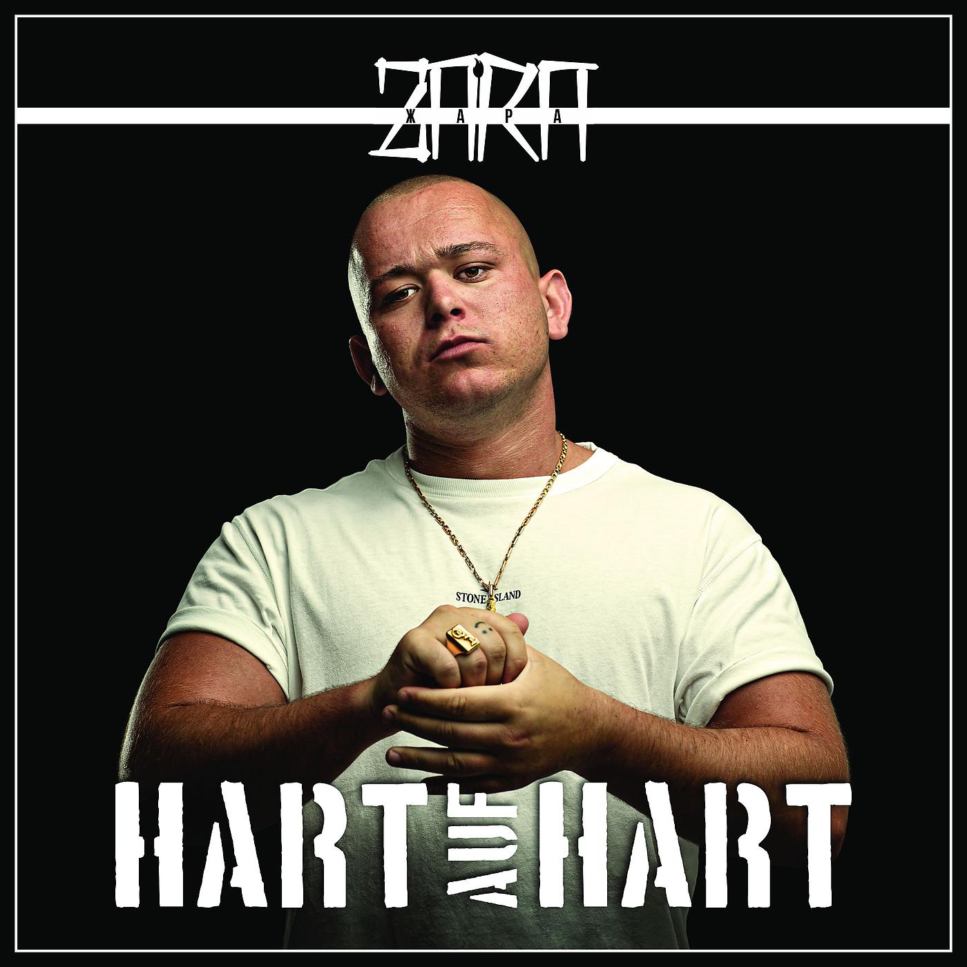 Постер альбома Hart auf Hart