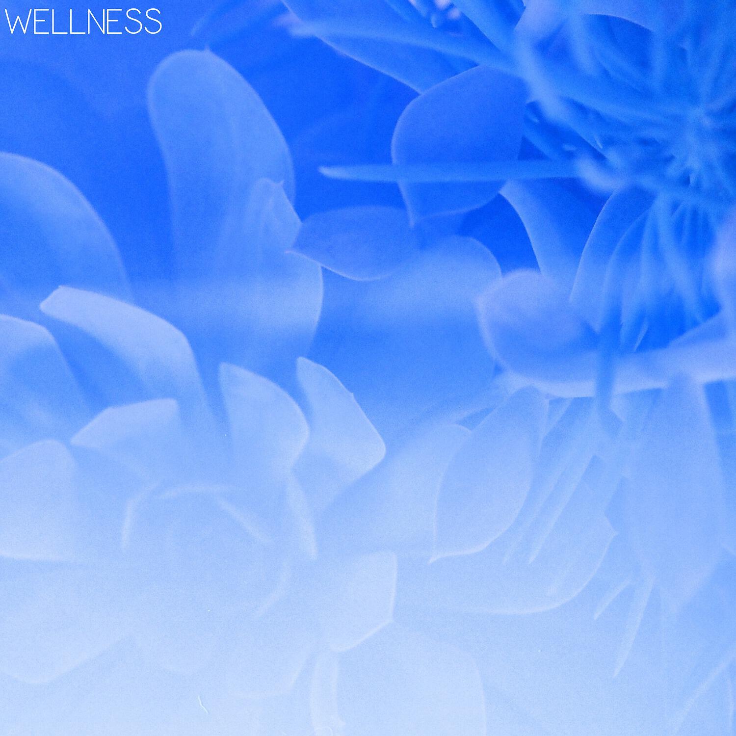 Wellness - One Hundred Lines