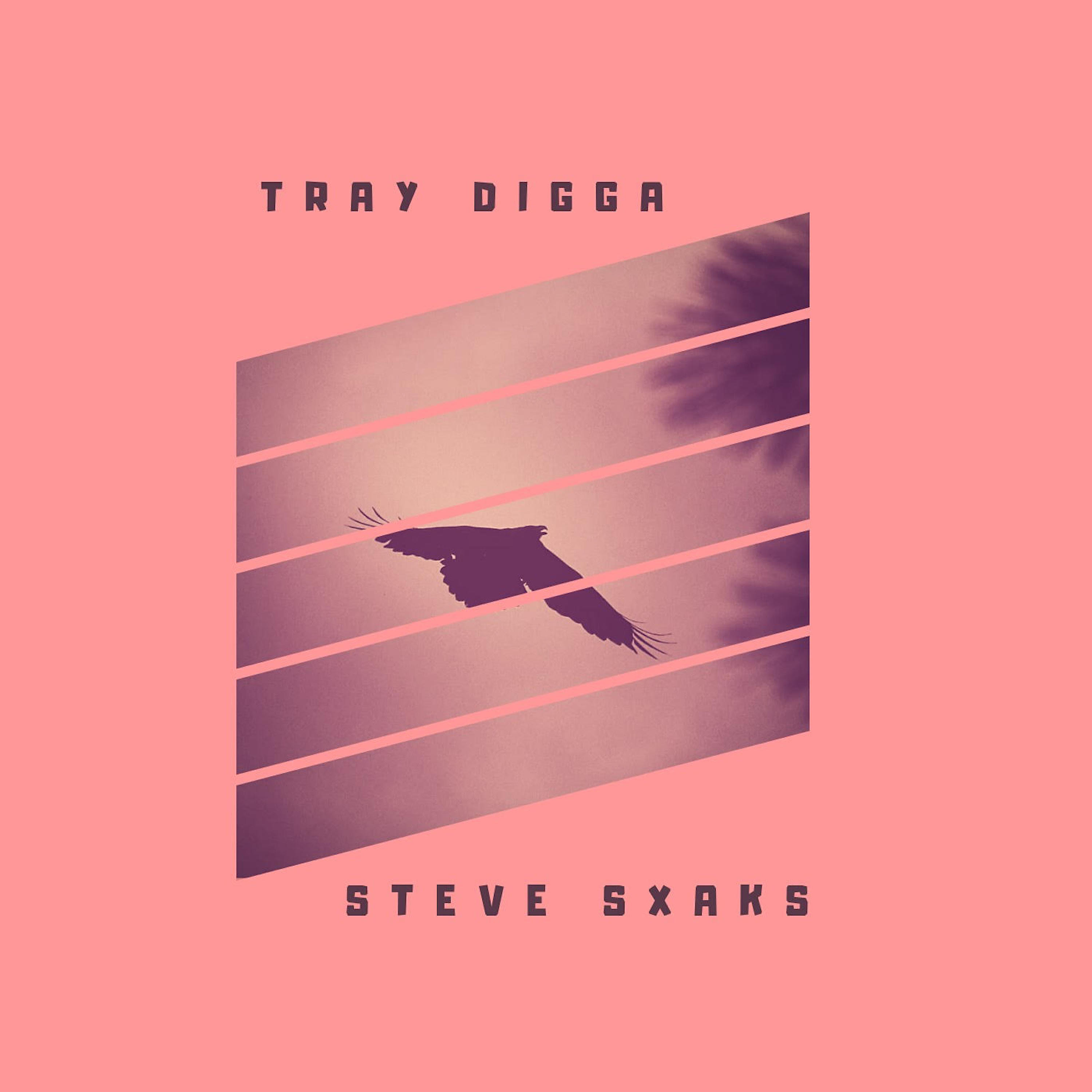 Tray Digga - Smuve