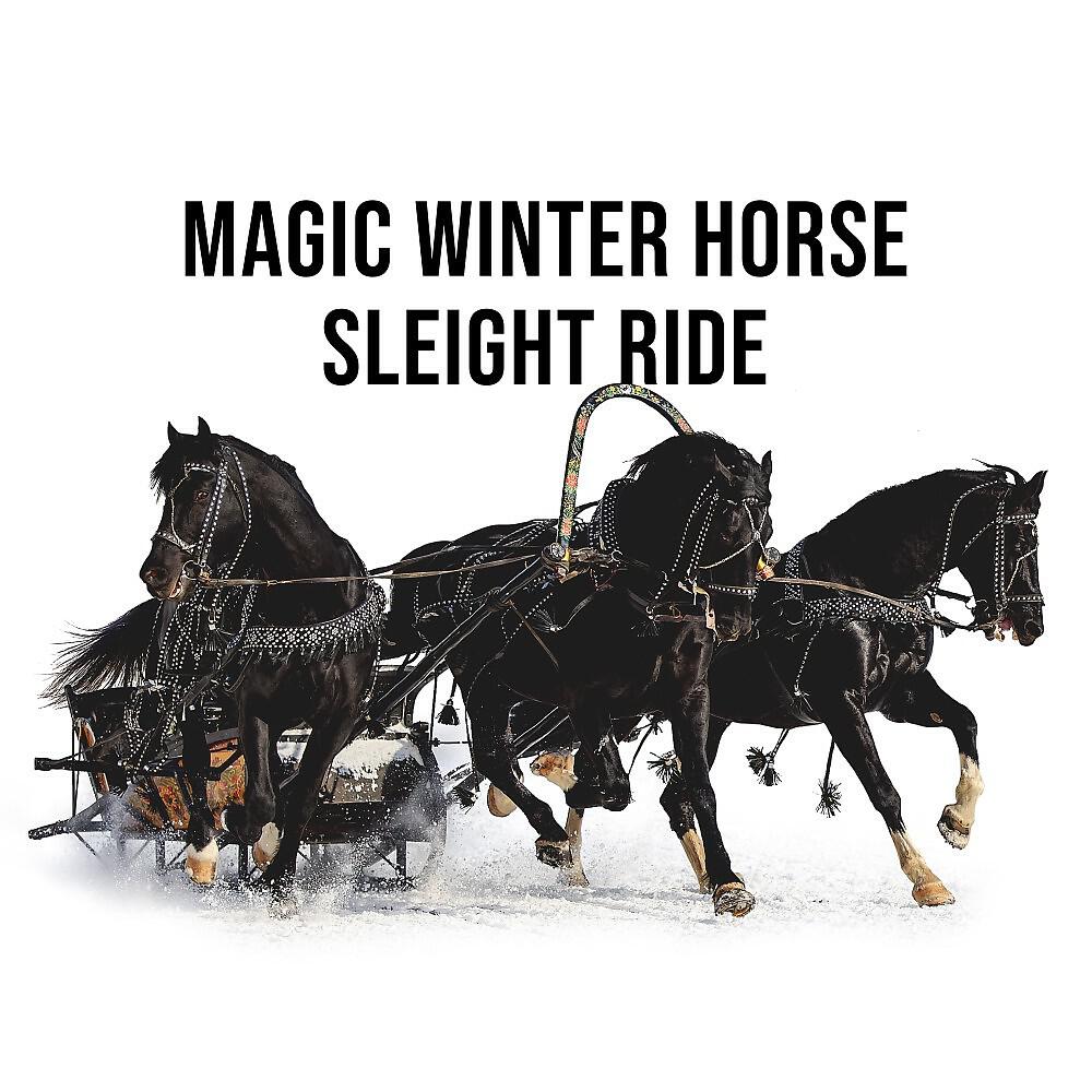 Alpine Sounds - Magic Winter Horse Sleight Ride in the Alps, Pt. 3